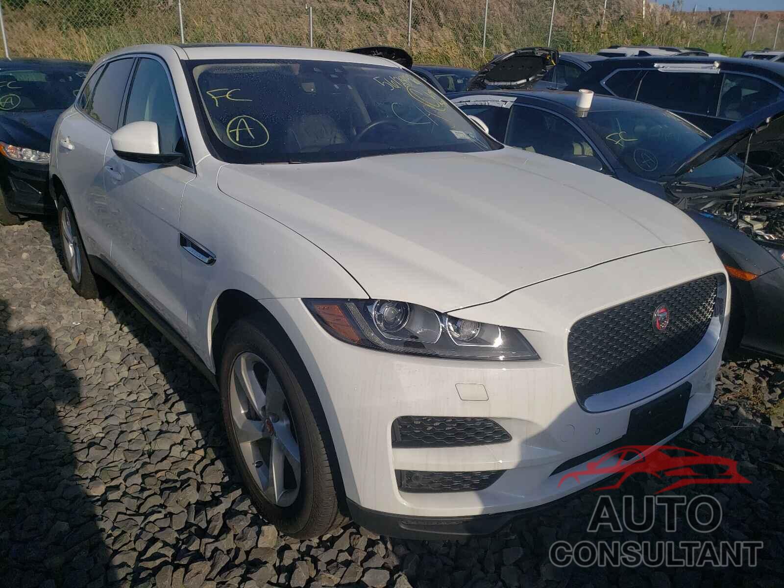 JAGUAR F-PACE 2020 - SADCJ2FX8LA629390