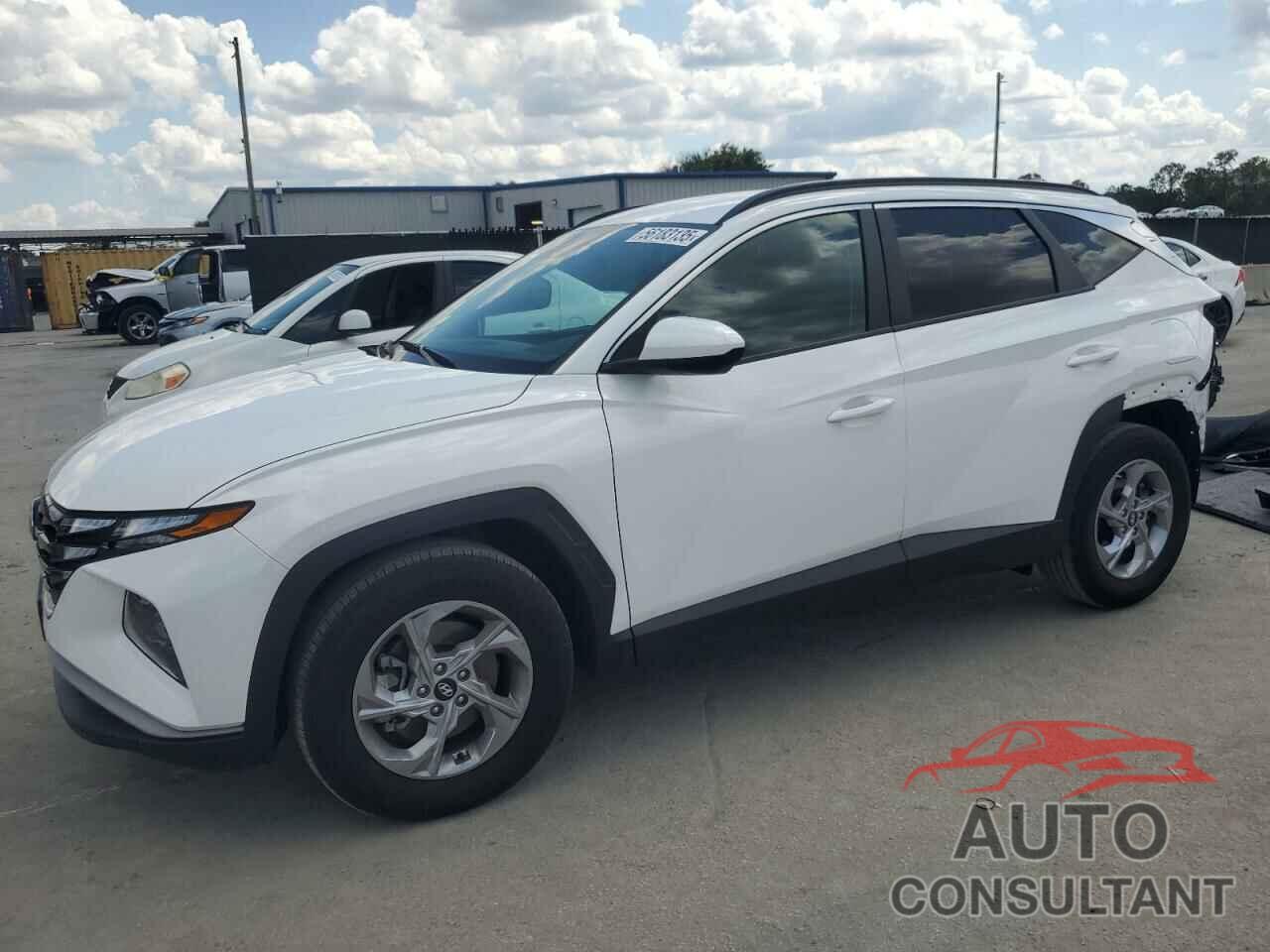 HYUNDAI TUCSON 2024 - 5NMJB3DE7RH317809