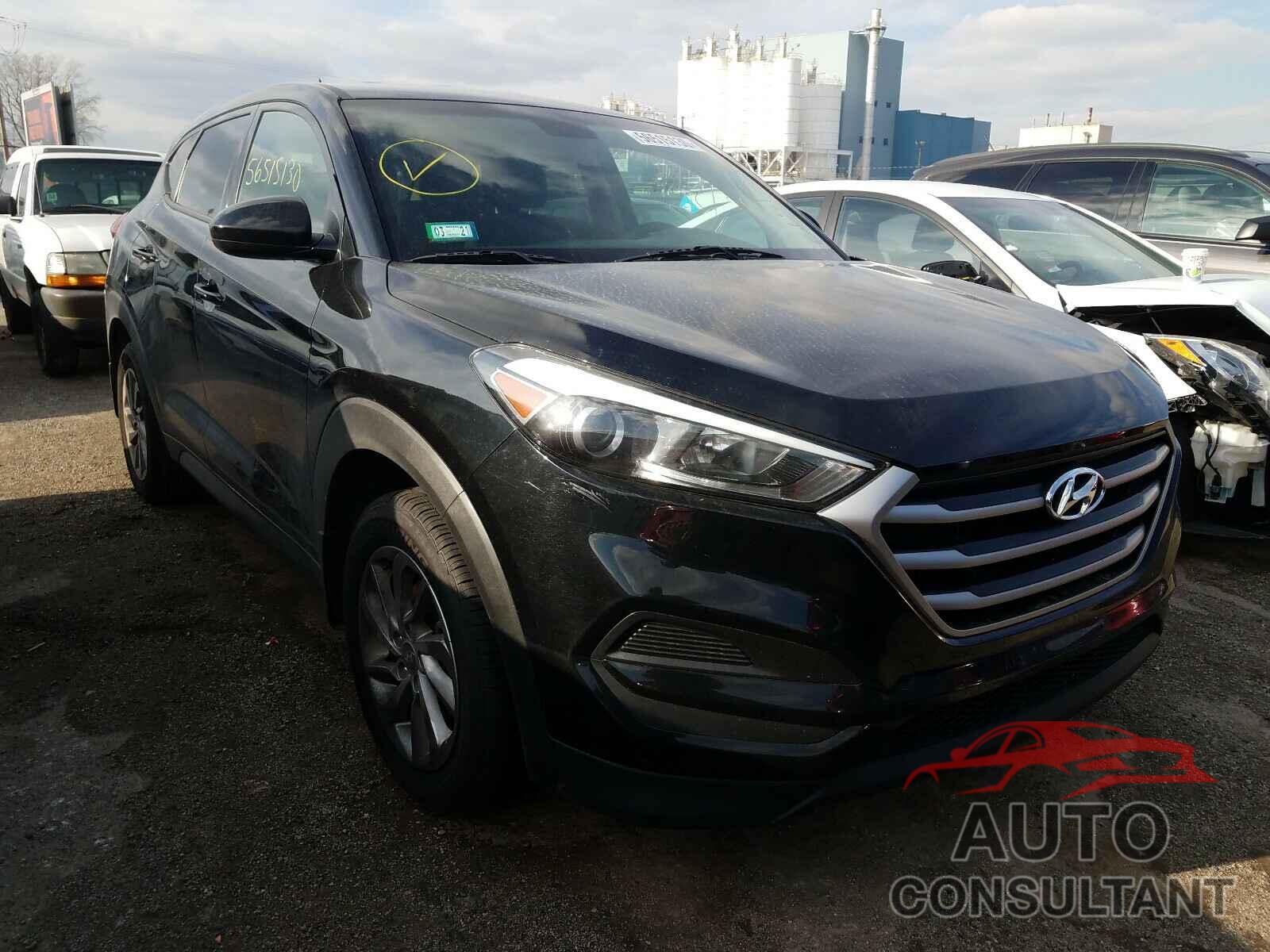 HYUNDAI TUCSON 2017 - KM8J23A44HU367372