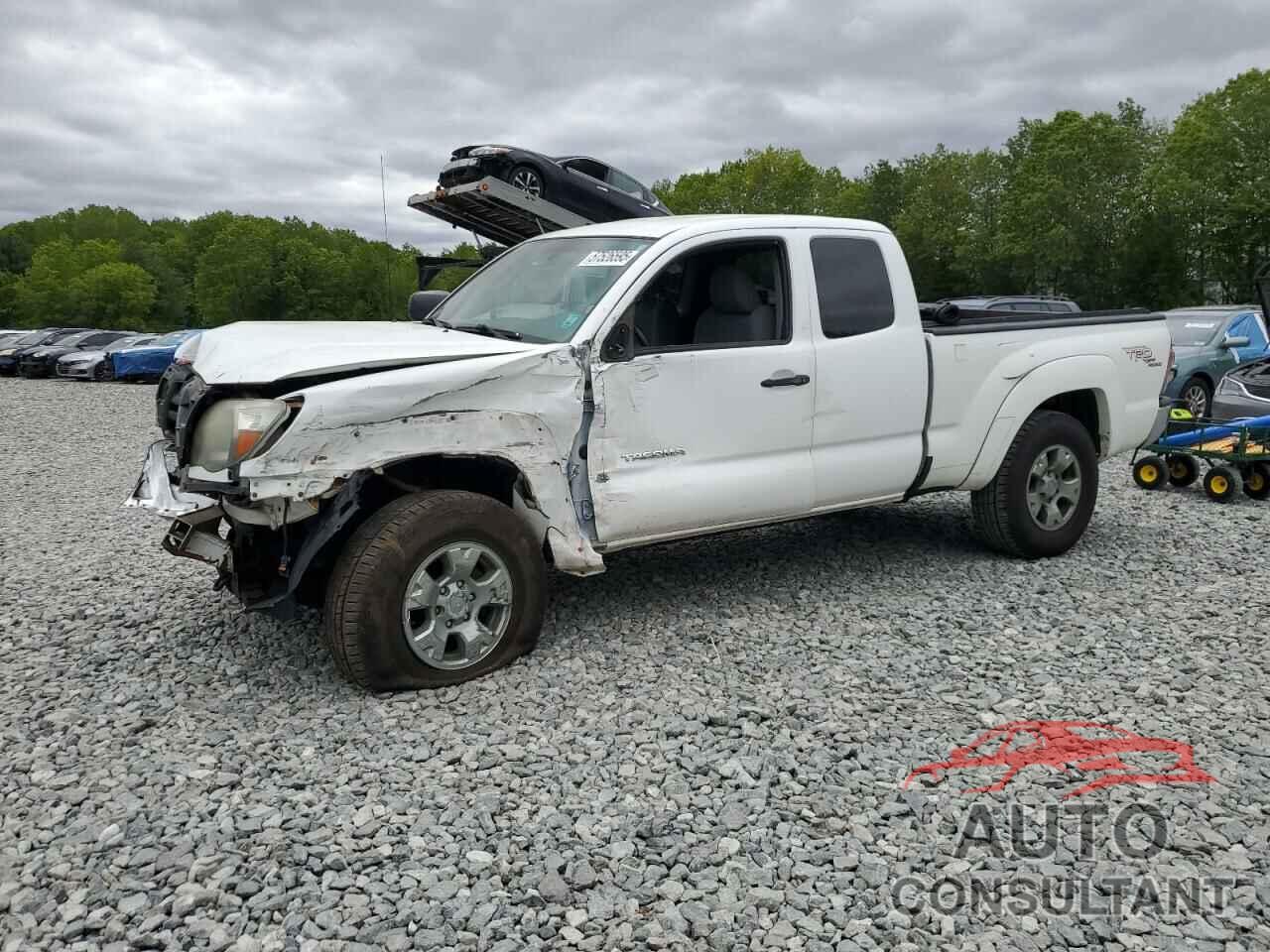 TOYOTA TACOMA 2009 - 5TEUU42N19Z604675