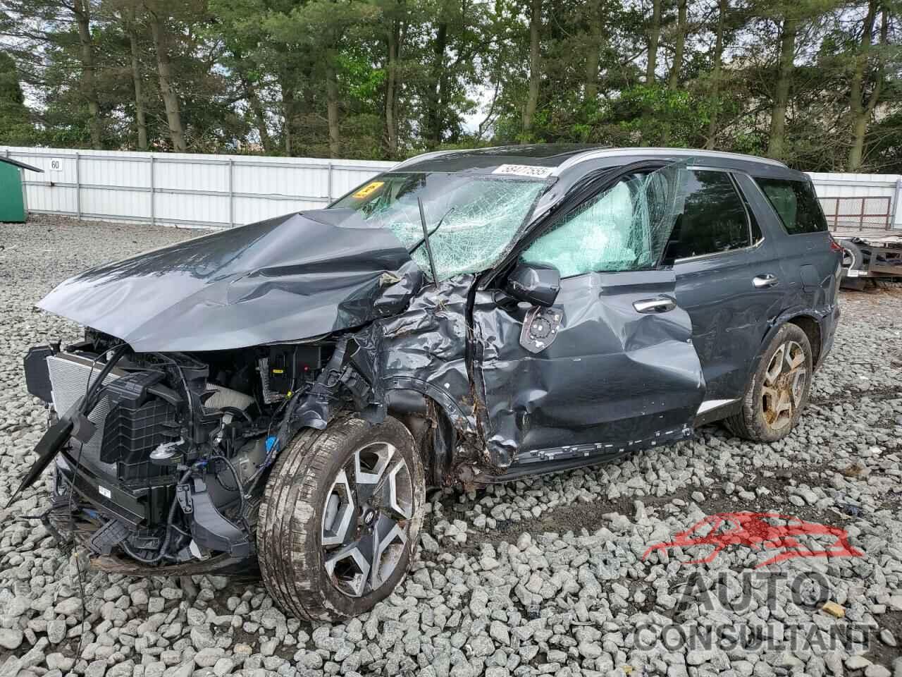 HYUNDAI PALISADE 2025 - KM8R5DGE8SU814633