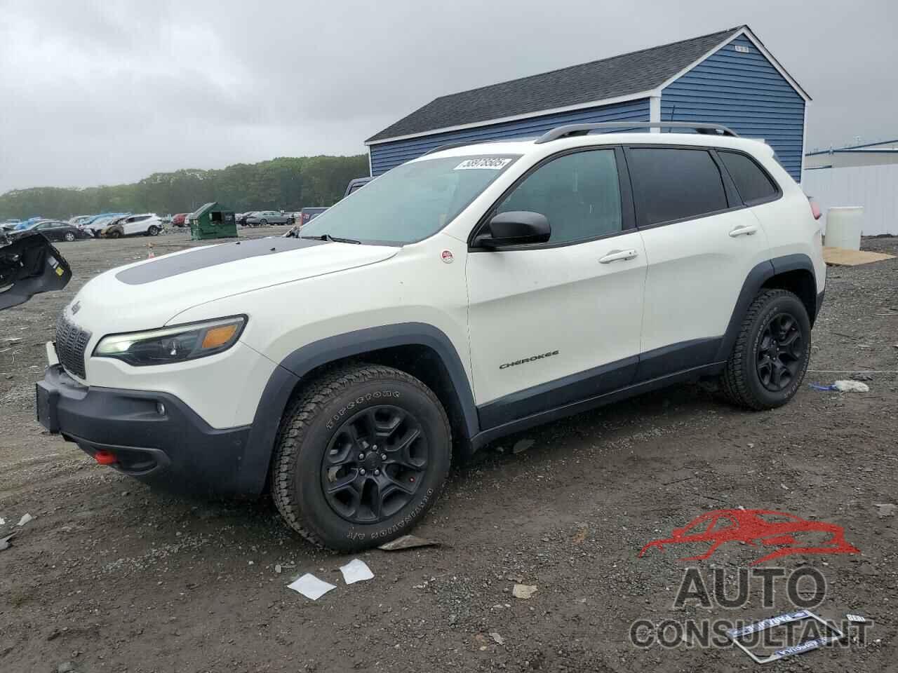 JEEP CHEROKEE 2019 - 1C4PJMBXXKD124205