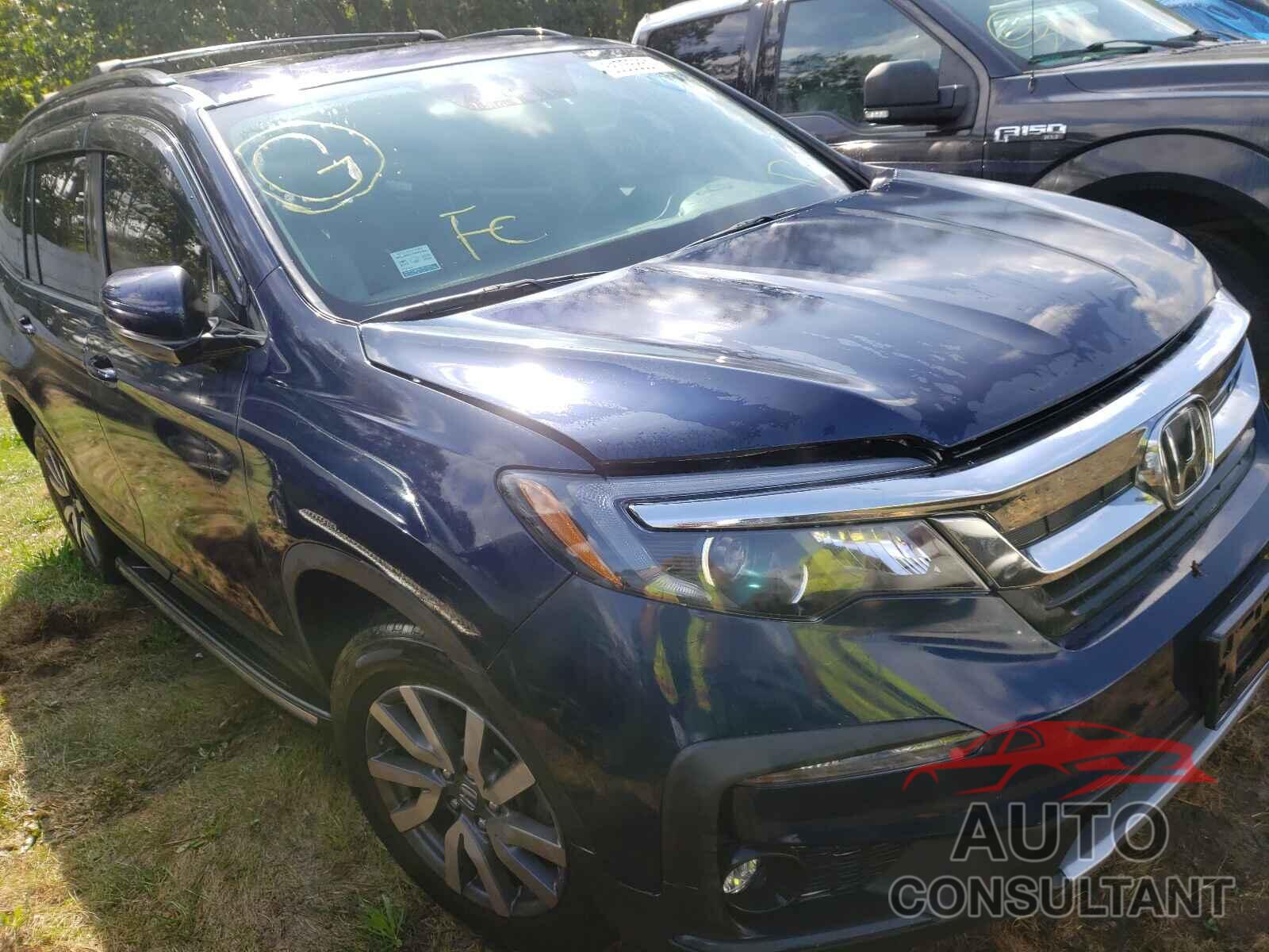 HONDA PILOT 2019 - 5FNYF6H51KB034666