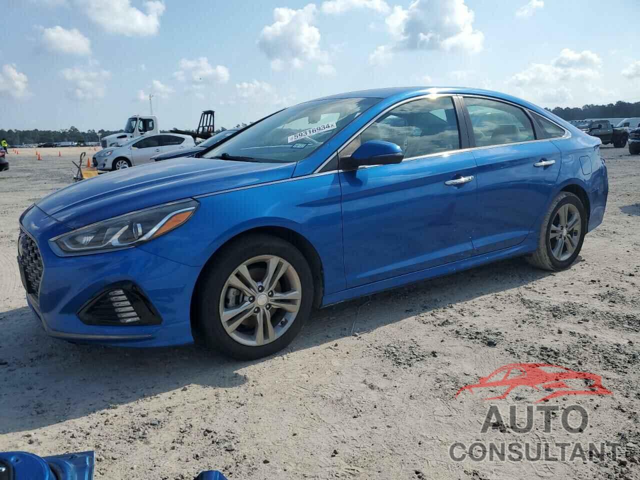 HYUNDAI SONATA 2019 - 5NPE34AF5KH769462