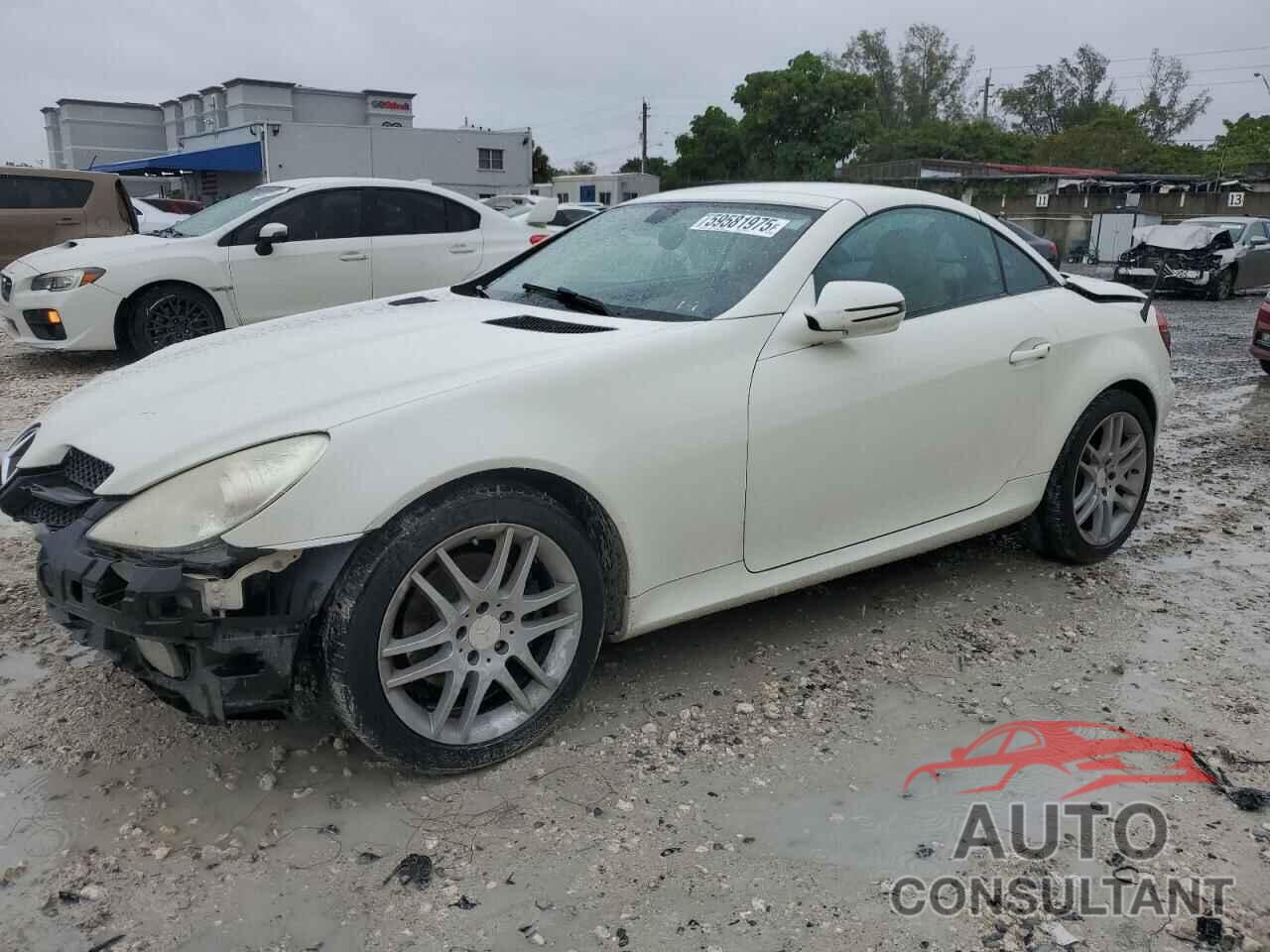 MERCEDES-BENZ SLK-CLASS 2009 - WDBWK54F99F192642