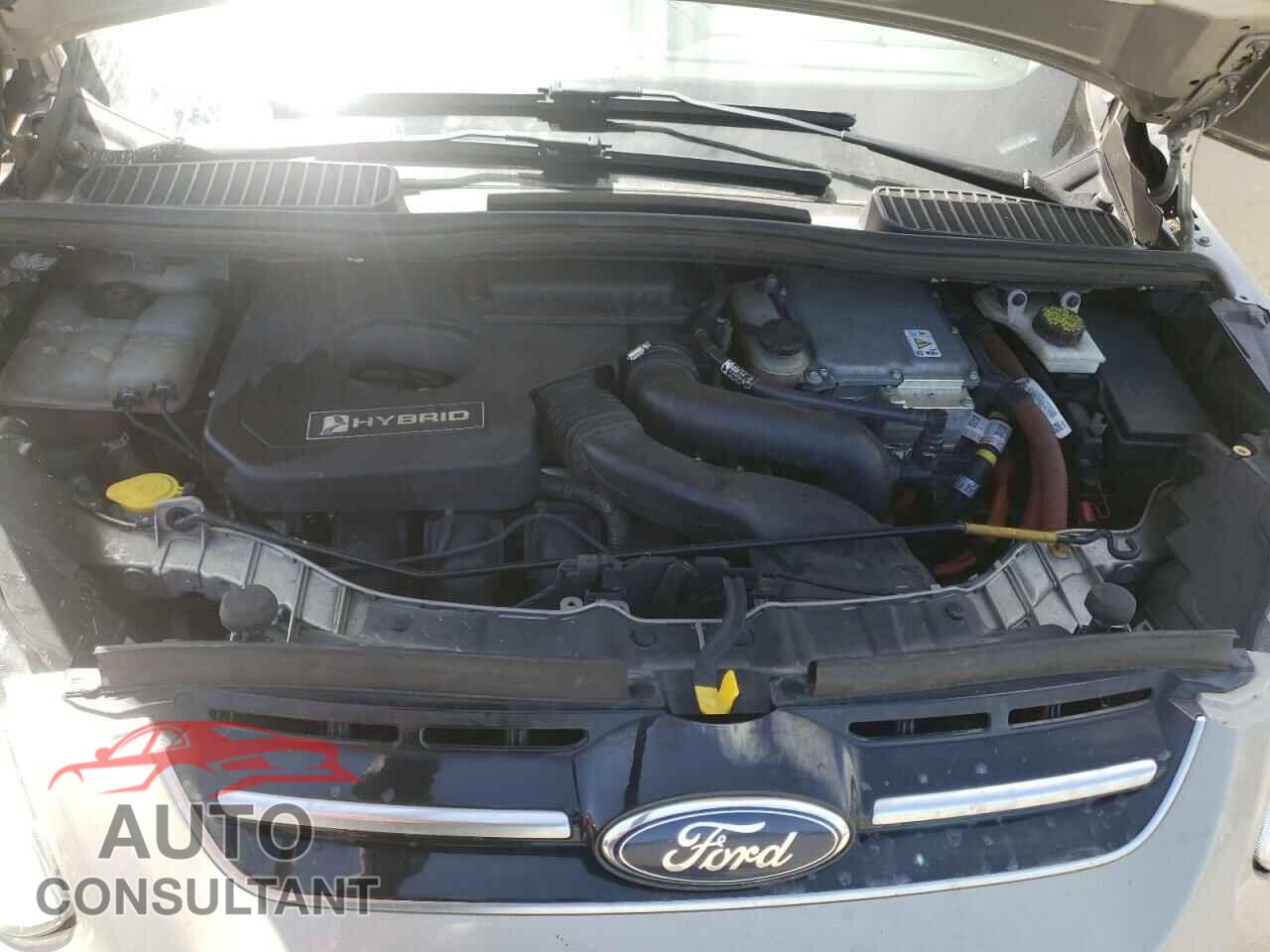 FORD CMAX 2016 - 1FADP5BUXGL103709