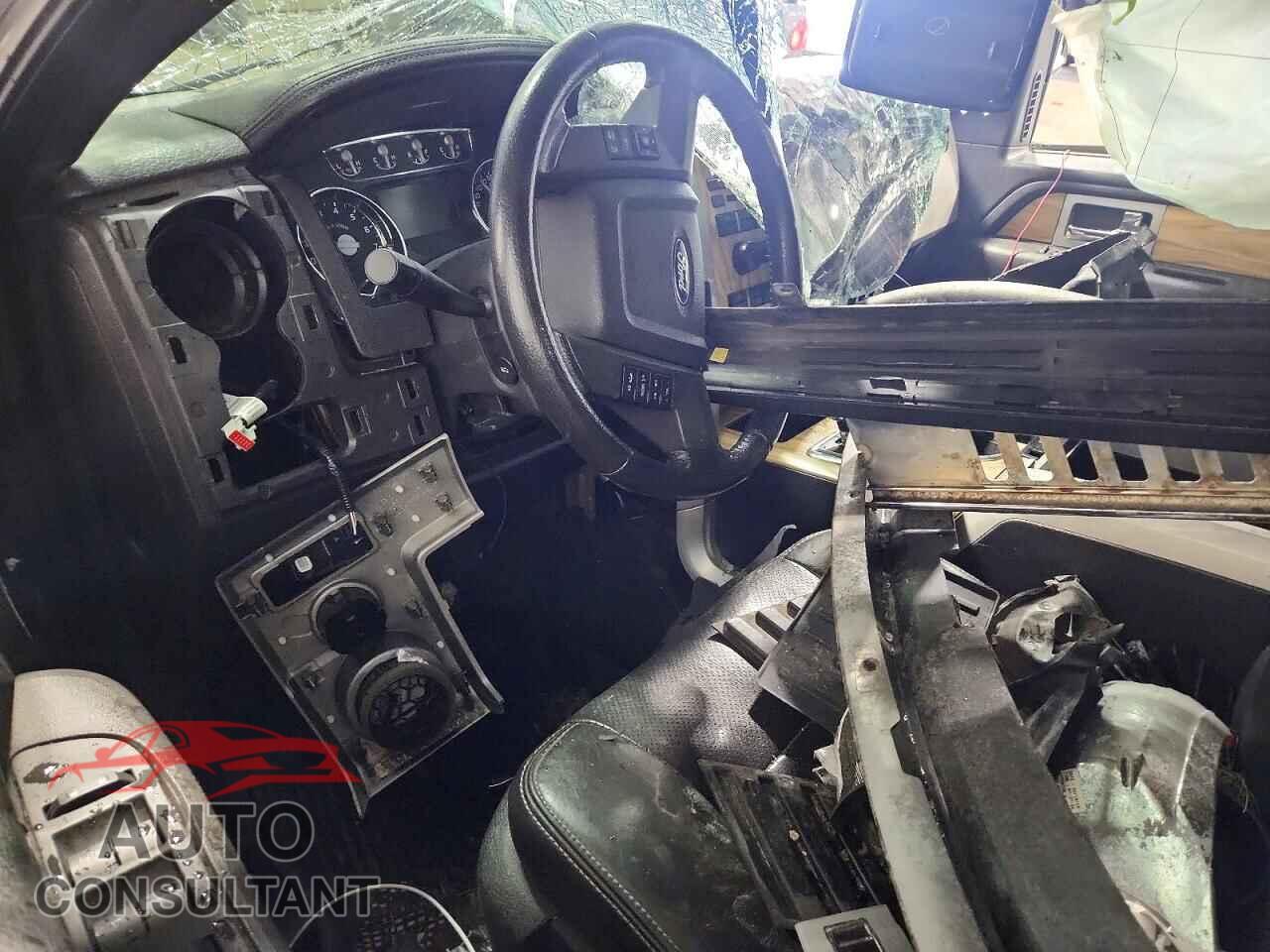 FORD F150 2011 - 1FTFX1EF6BFA08421