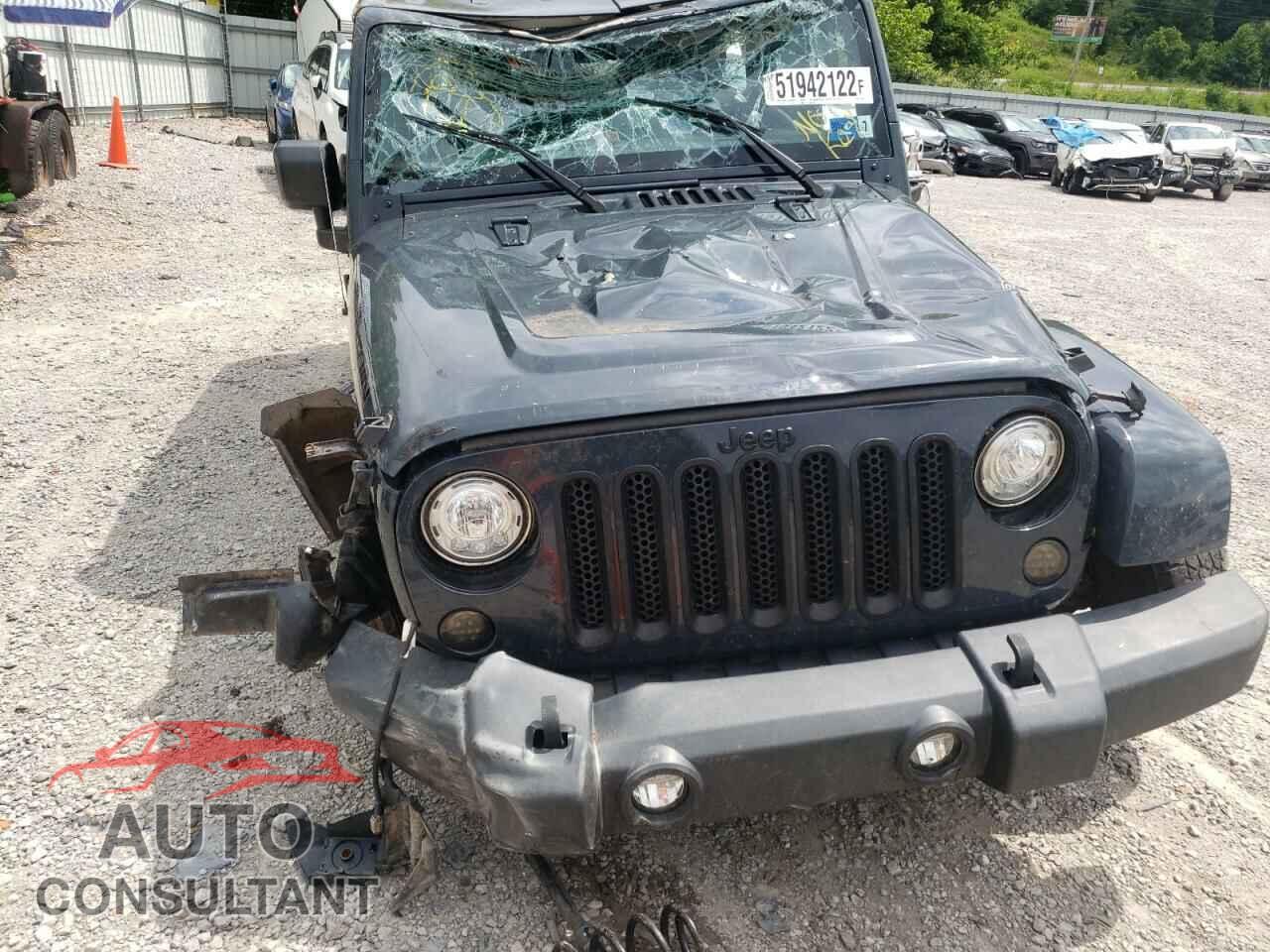JEEP WRANGLER 2017 - 1C4BJWEG3HL647100