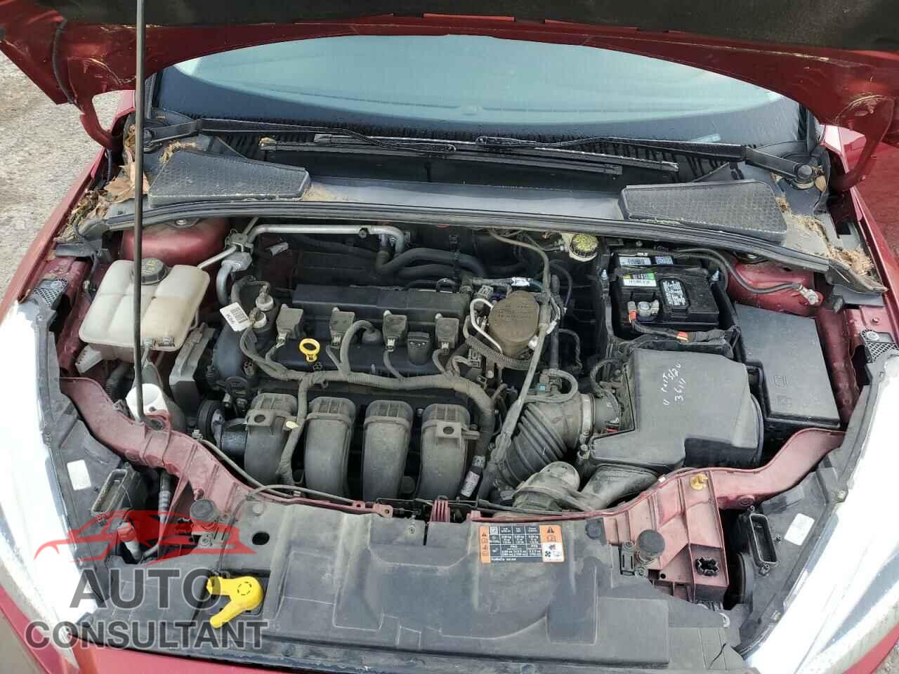 FORD FOCUS 2015 - 1FADP3F2XFL323377