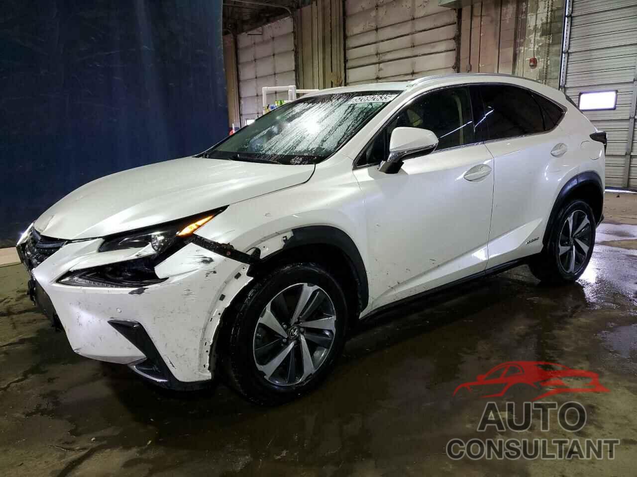 LEXUS NX 2019 - JTJBJRBZ7K2103135