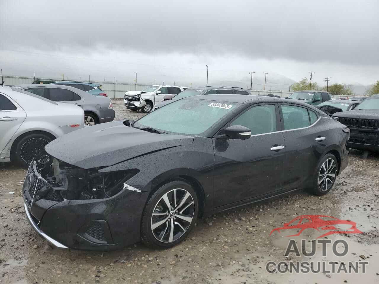 NISSAN MAXIMA 2021 - 1N4AA6CV5MC512360