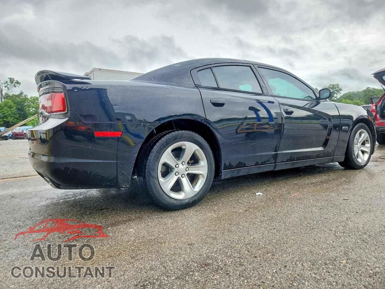 DODGE CHARGER 2013 - 2C3CDXCTXDH735199