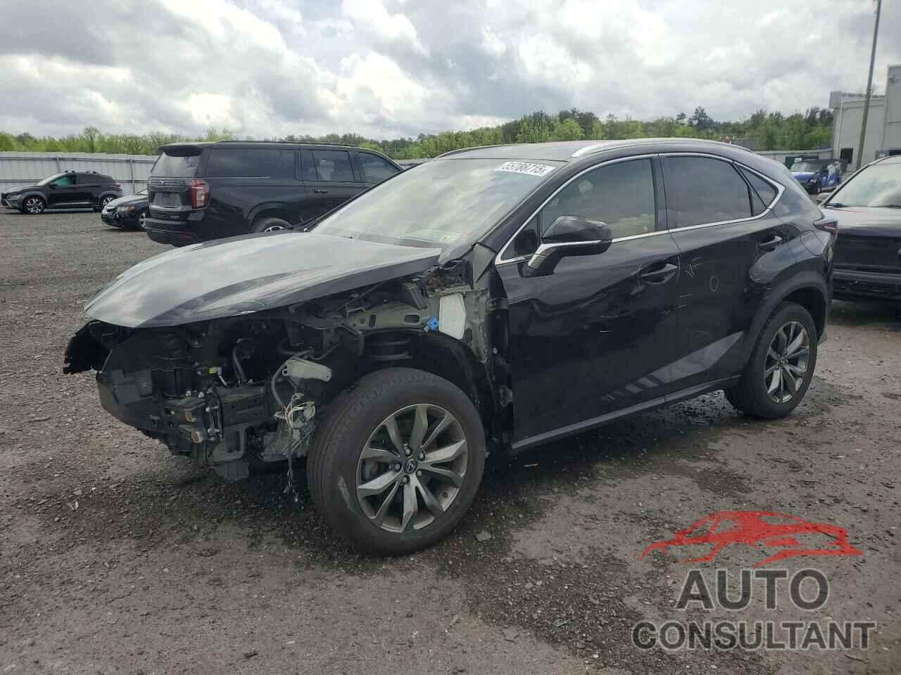 LEXUS NX 2019 - JTJYARBZ9K2145039