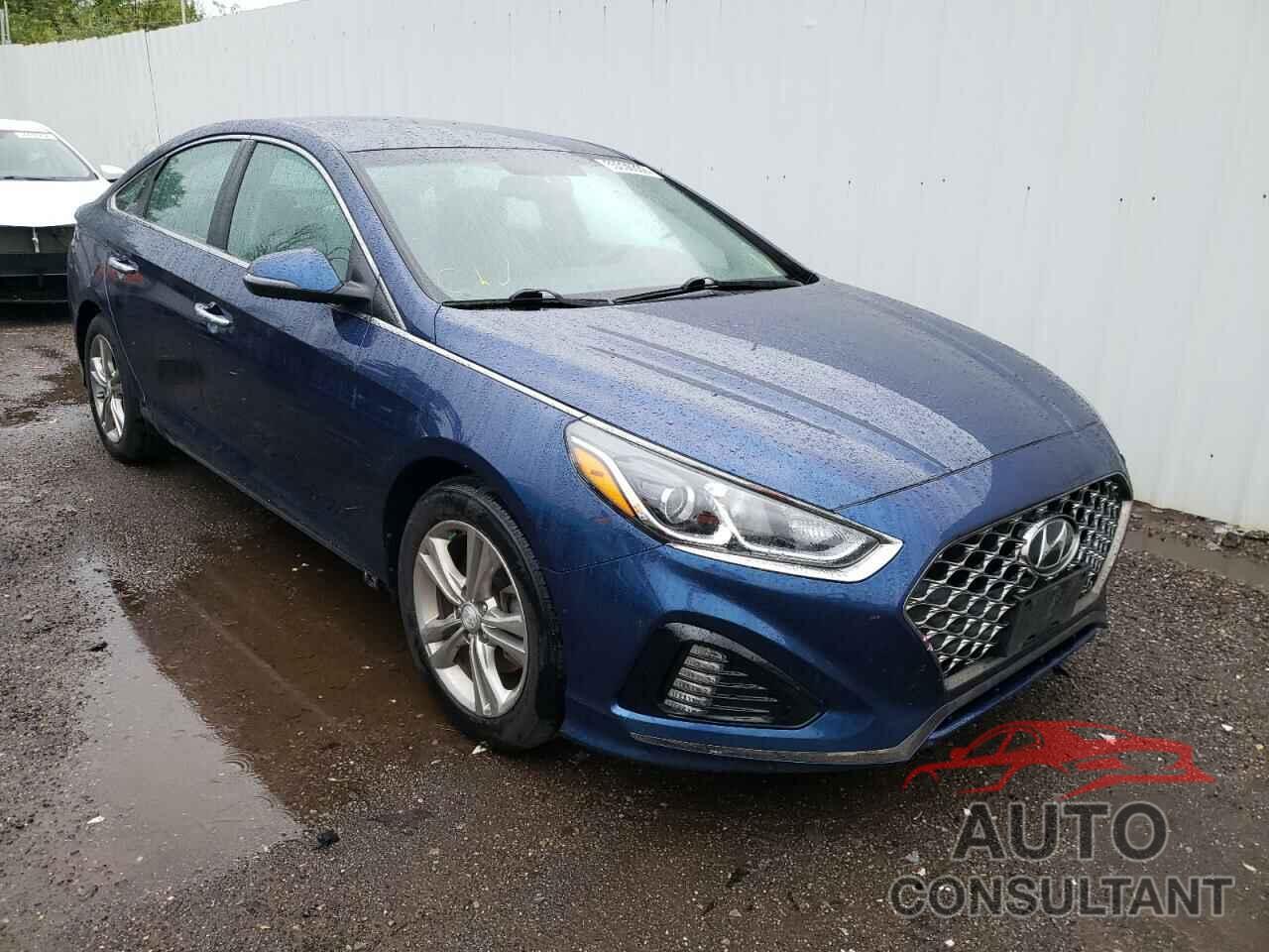 HYUNDAI SONATA 2019 - 5NPE34AF5KH770045