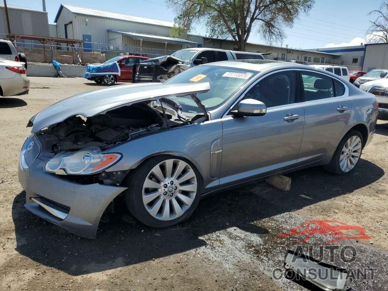 JAGUAR XF 2009 - SAJWA05B39HR06662