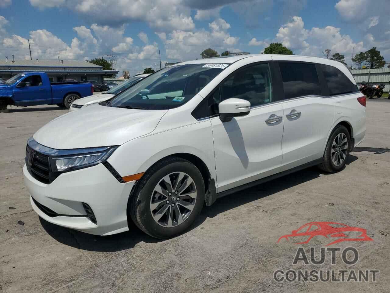 HONDA All Models 2024 - 5FNRL6H62RB034417