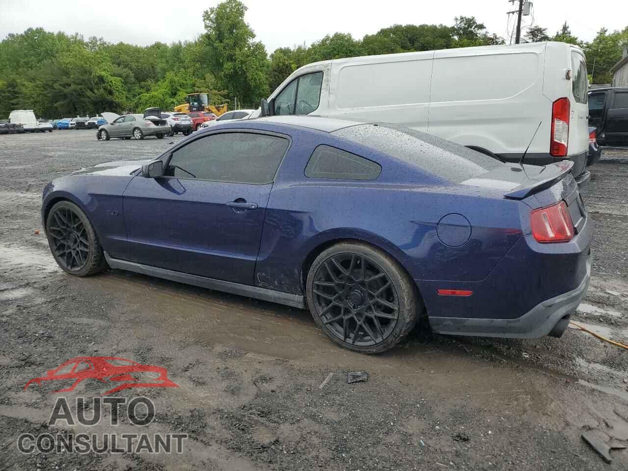 FORD MUSTANG 2011 - 1ZVBP8CF5B5130118