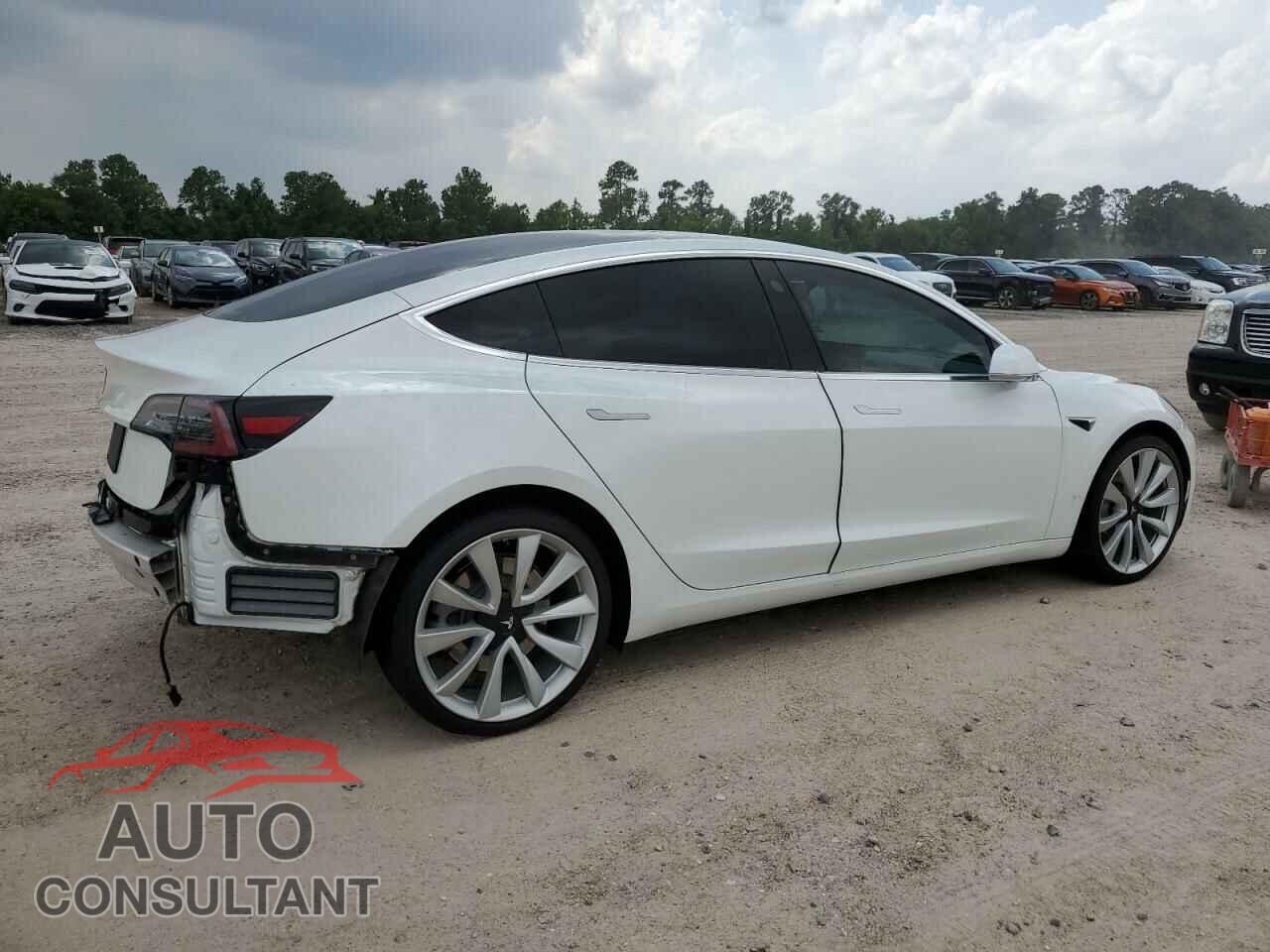 TESLA MODEL 3 2019 - 5YJ3E1EA1KF425107