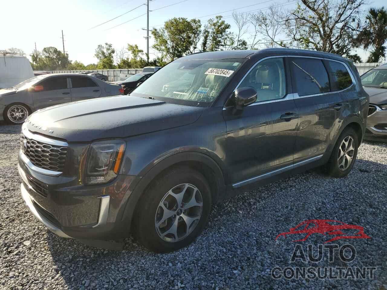 KIA TELLURIDE 2020 - 5XYP3DHCXLG001439
