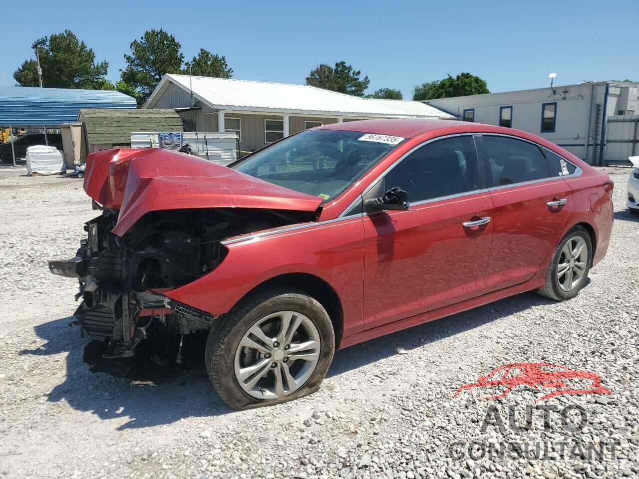 HYUNDAI SONATA 2019 - 5NPE34AF6KH789865
