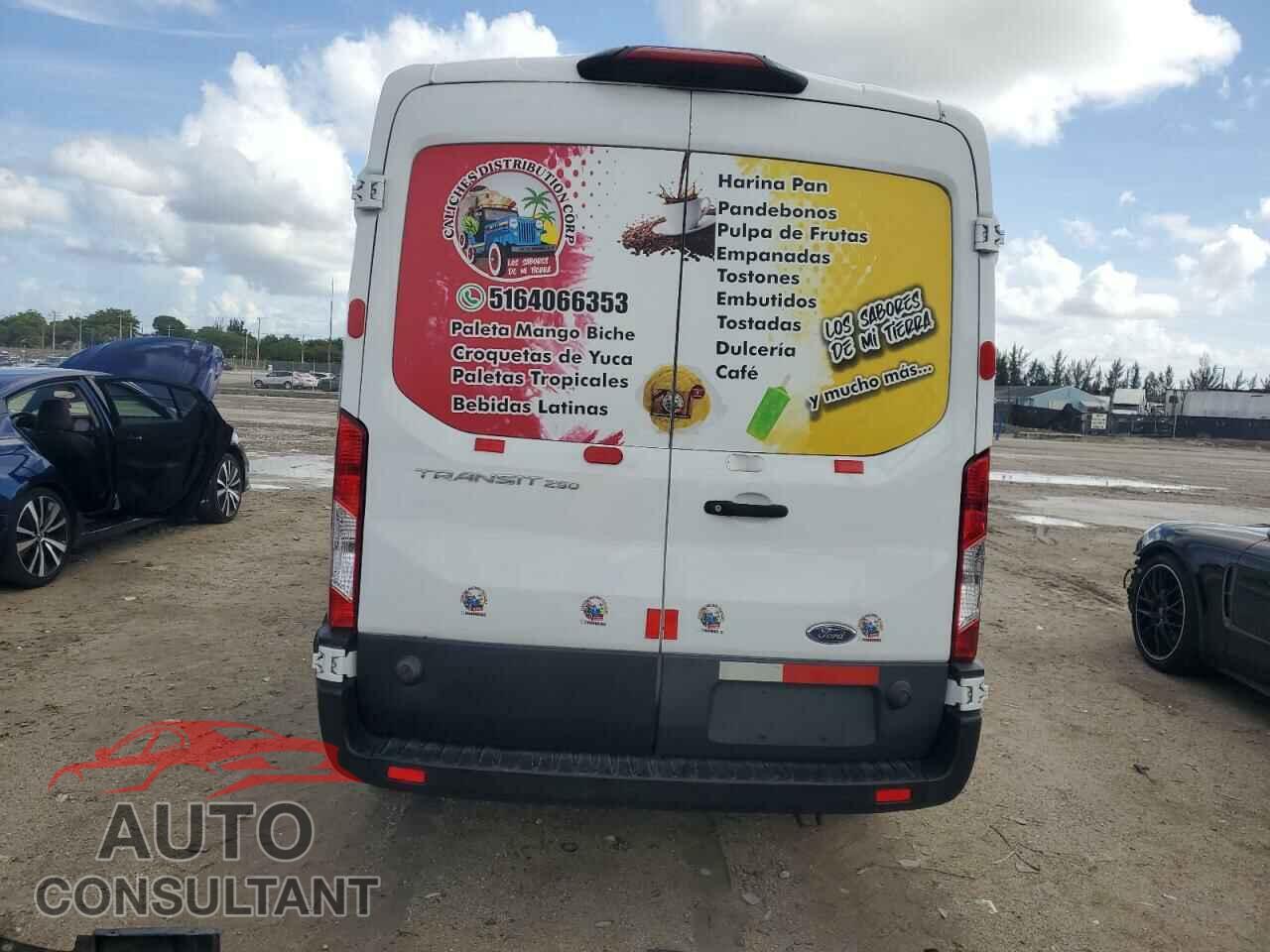 FORD TRANSIT 2019 - 1FTYR2CM9KKA87925