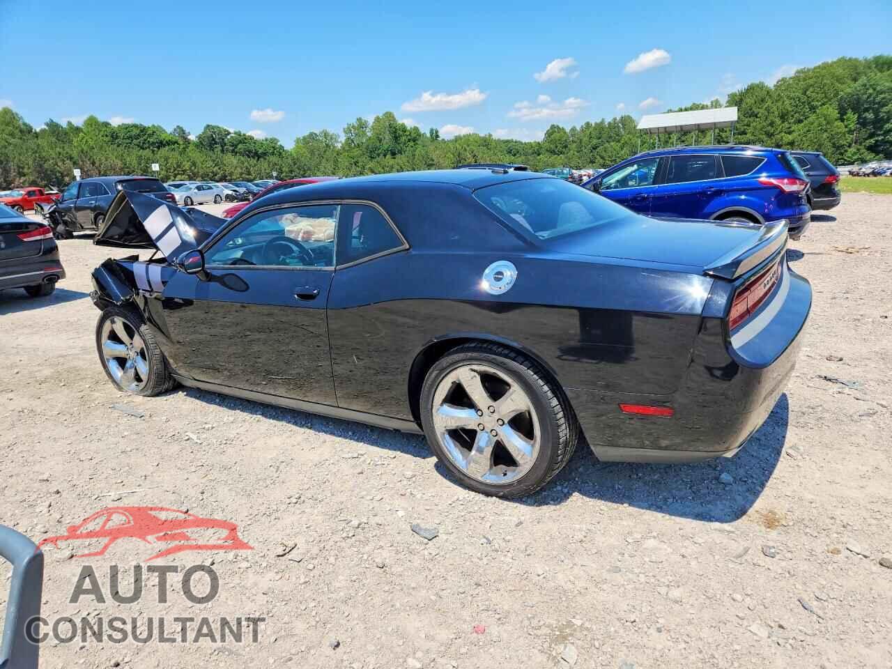 DODGE CHALLENGER 2013 - 2C3CDYBT8DH536028