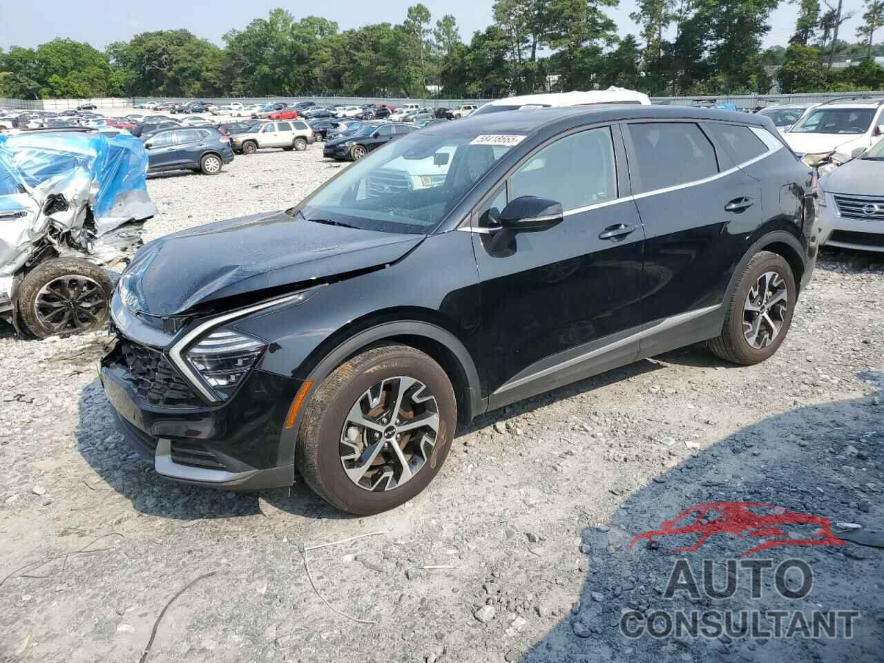 KIA SPORTAGE 2024 - 5XYK33DFXRG213707