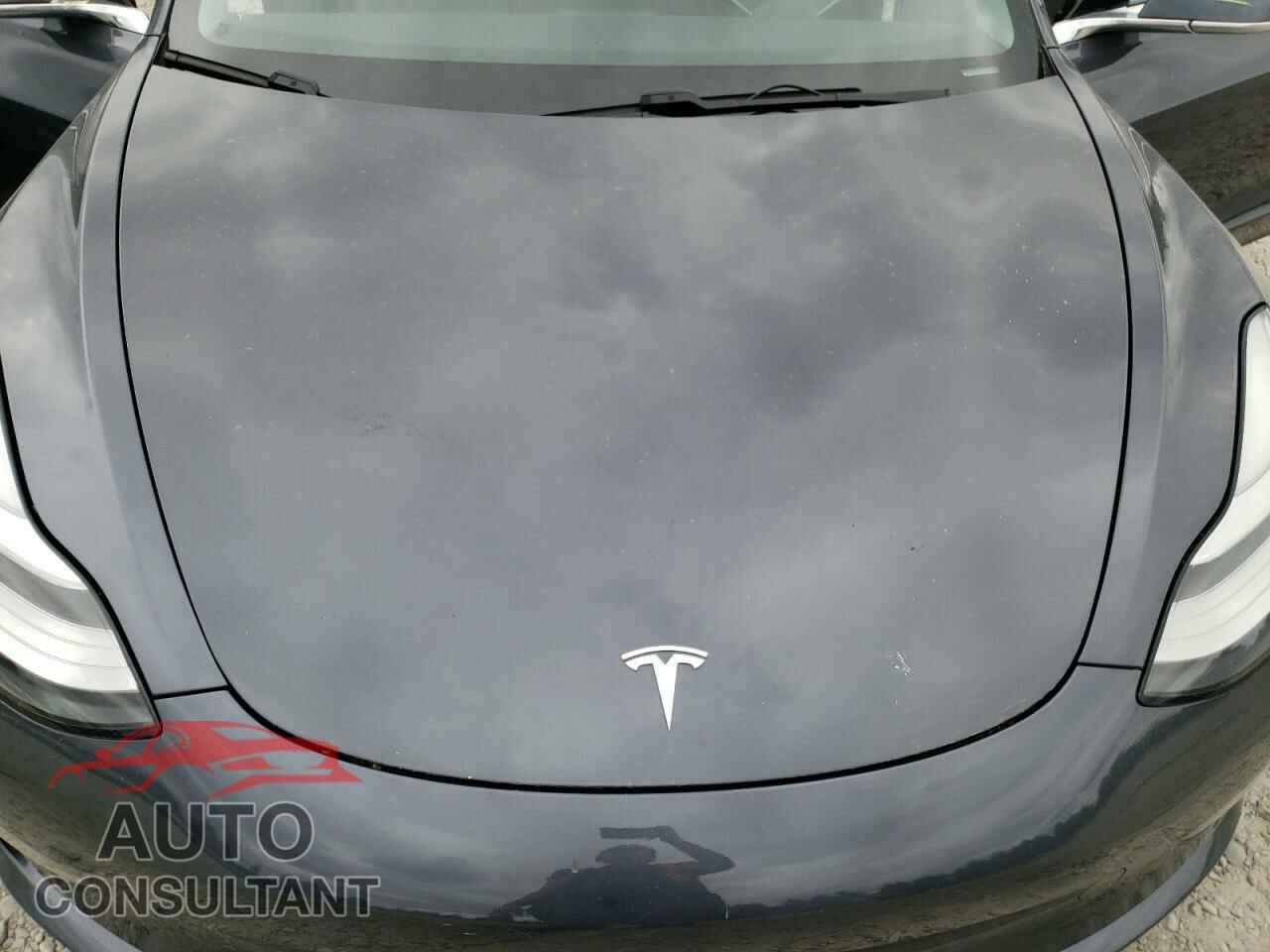 TESLA MODEL 3 2019 - 5YJ3E1EB0KF209922