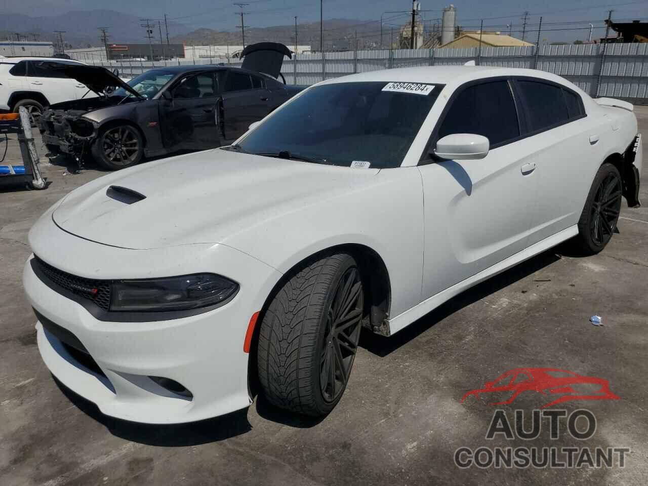 DODGE CHARGER 2019 - 2C3CDXHG0KH673711