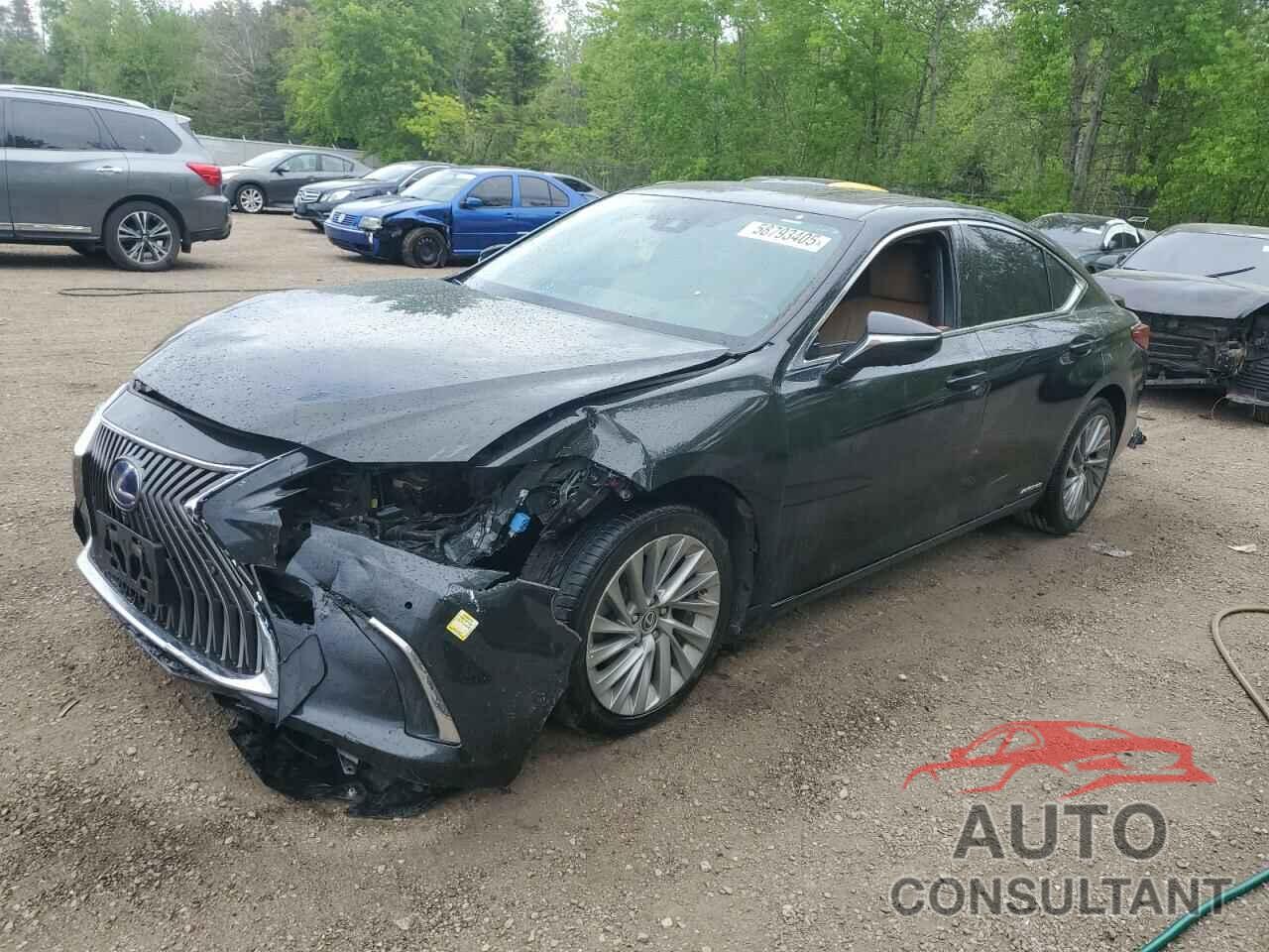 LEXUS ES300 2019 - JTHB21B14K2010387