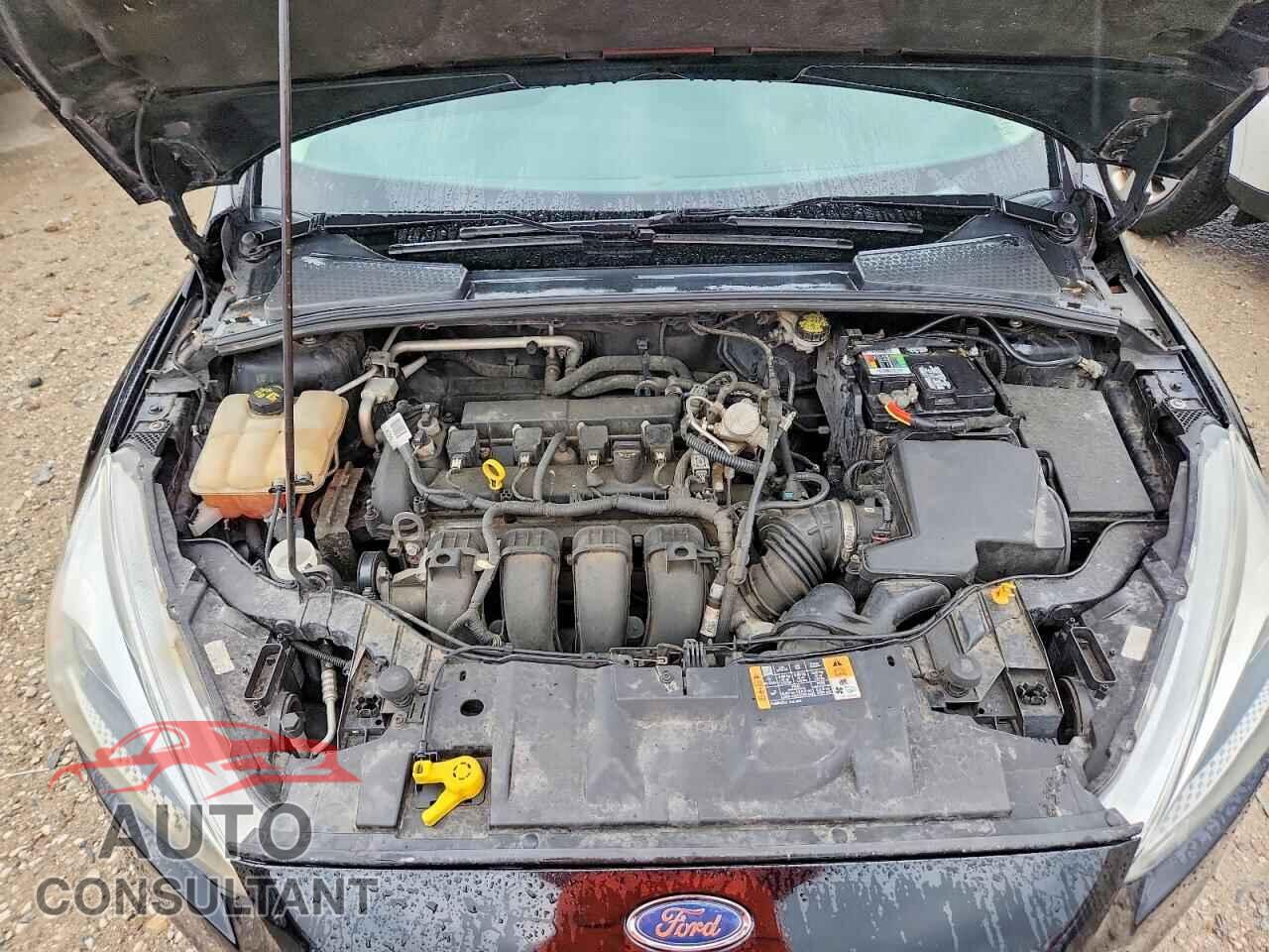FORD FOCUS 2016 - 1FADP3F29GL368876