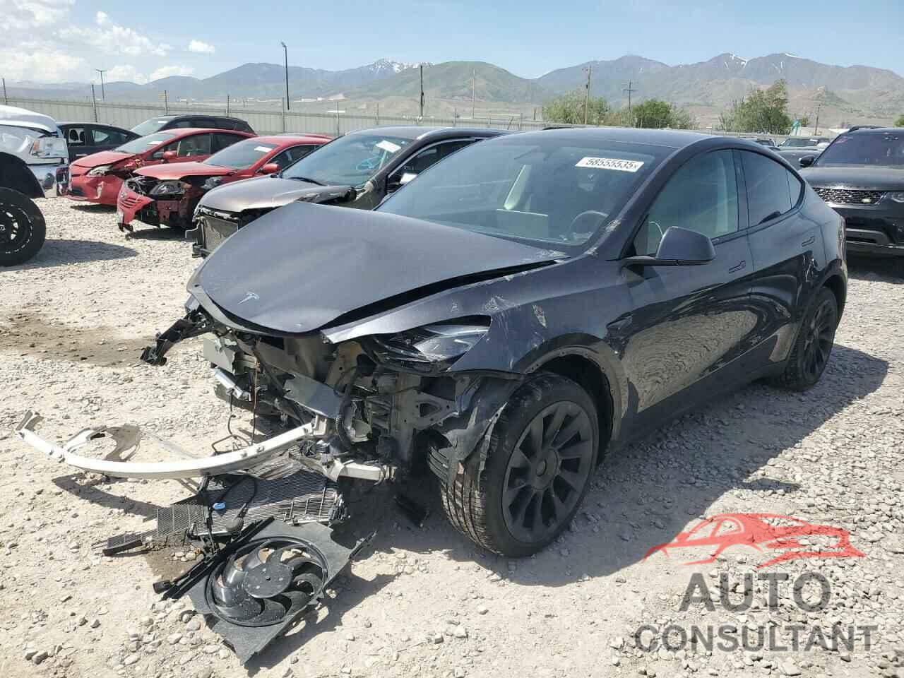 TESLA MODEL Y 2024 - 7SAYGDEE6RF074728