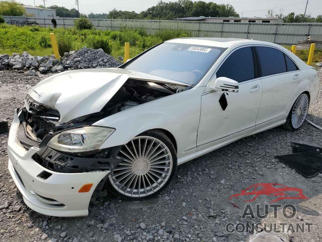 MERCEDES-BENZ S-CLASS 2010 - WDDNG7BB7AA290229