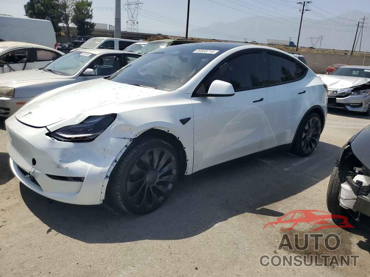 TESLA MODEL Y 2024 - 7SAYGDEF0RF059201