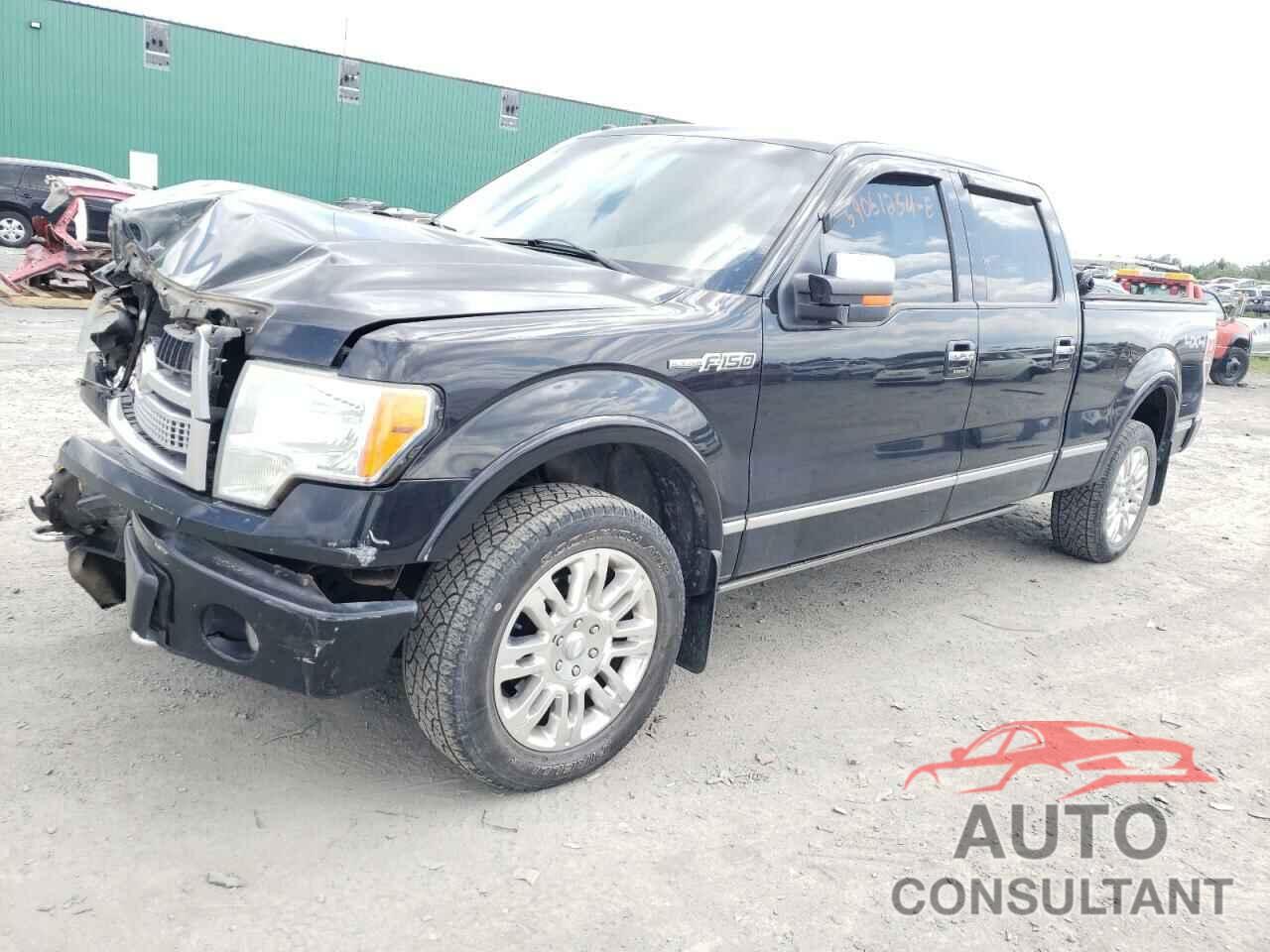 FORD F-150 2010 - 1FTFW1EV3AFA38193