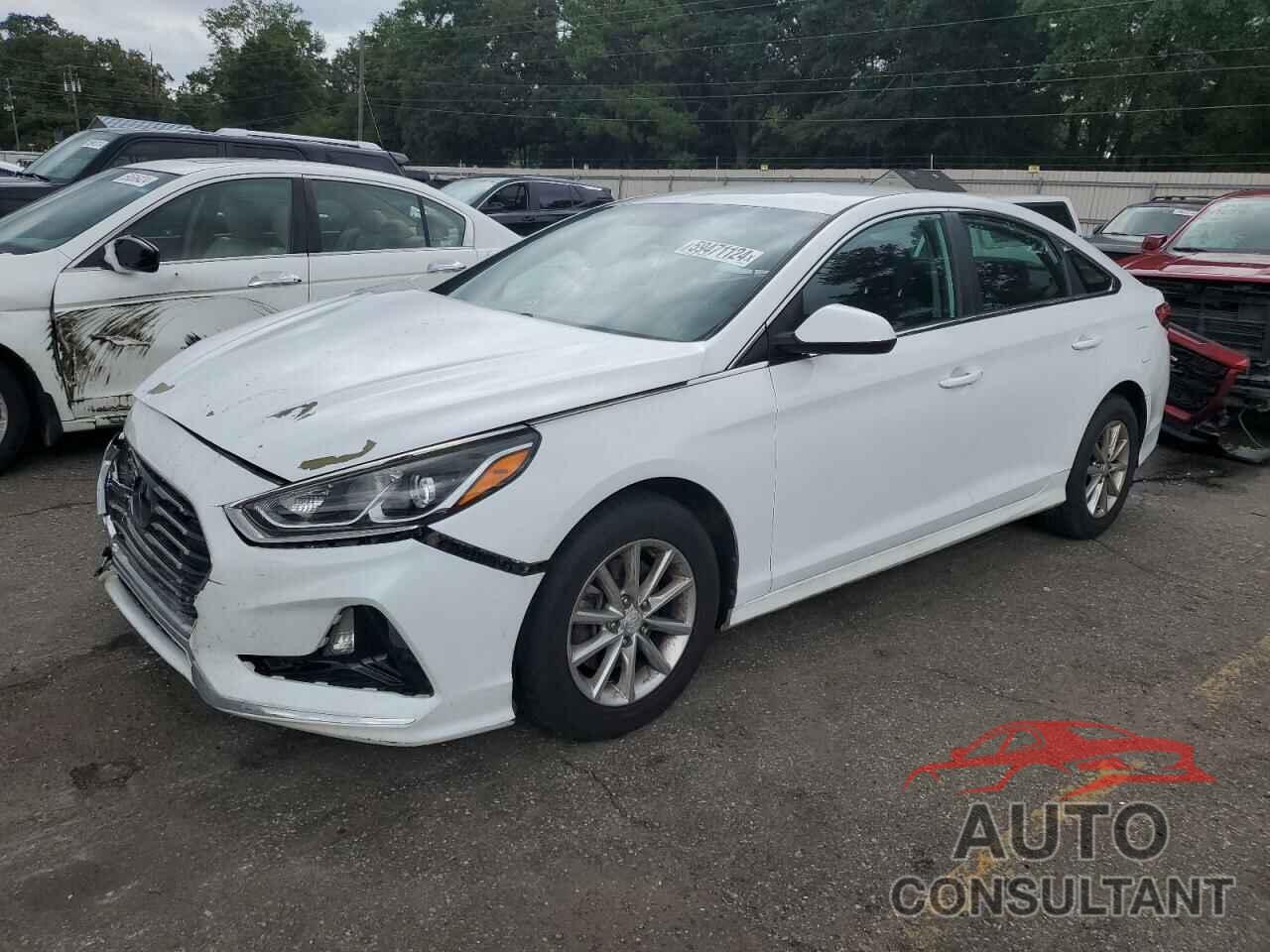 HYUNDAI SONATA 2019 - 5NPE24AF8KH743148