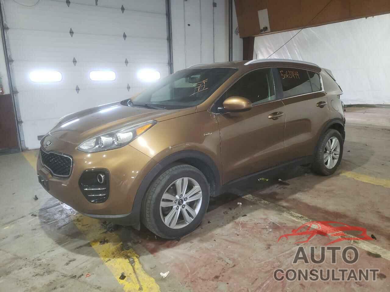 KIA SPORTAGE 2017 - KNDPMCACXH7037024