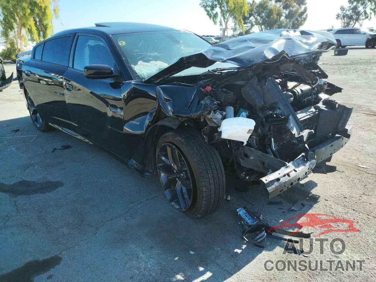 DODGE CHARGER 2019 - 2C3CDXCT7KH584187