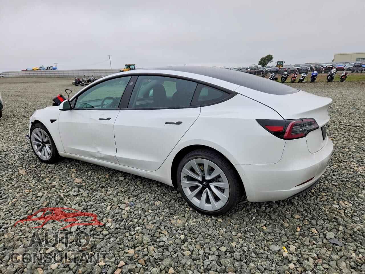 TESLA MODEL 3 2021 - 5YJ3E1EA8MF961653