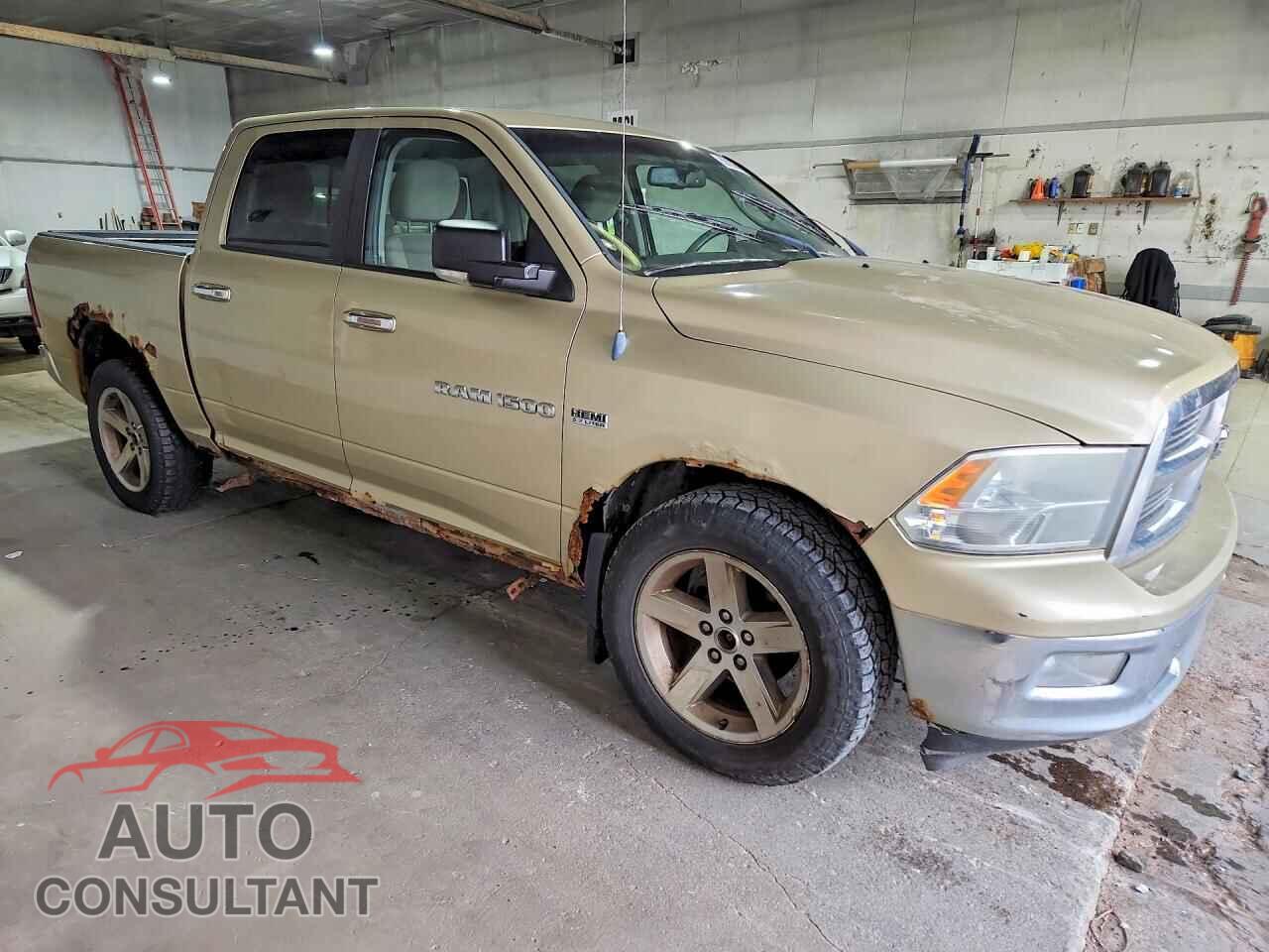 DODGE All Models 2011 - 1D7RV1CT6BS535755