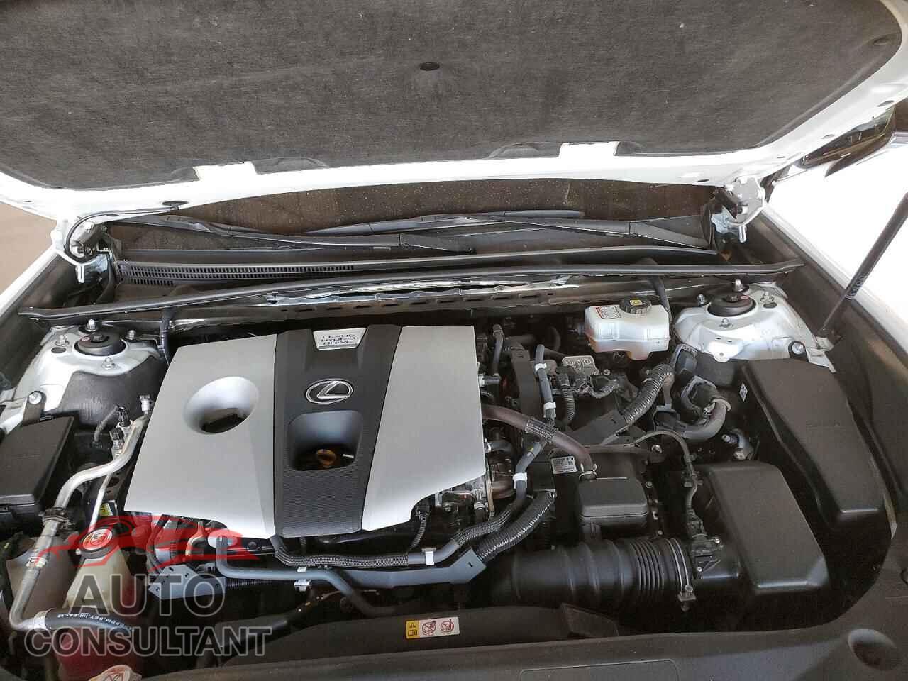 LEXUS ES300 2019 - JTHB21B12K2012879