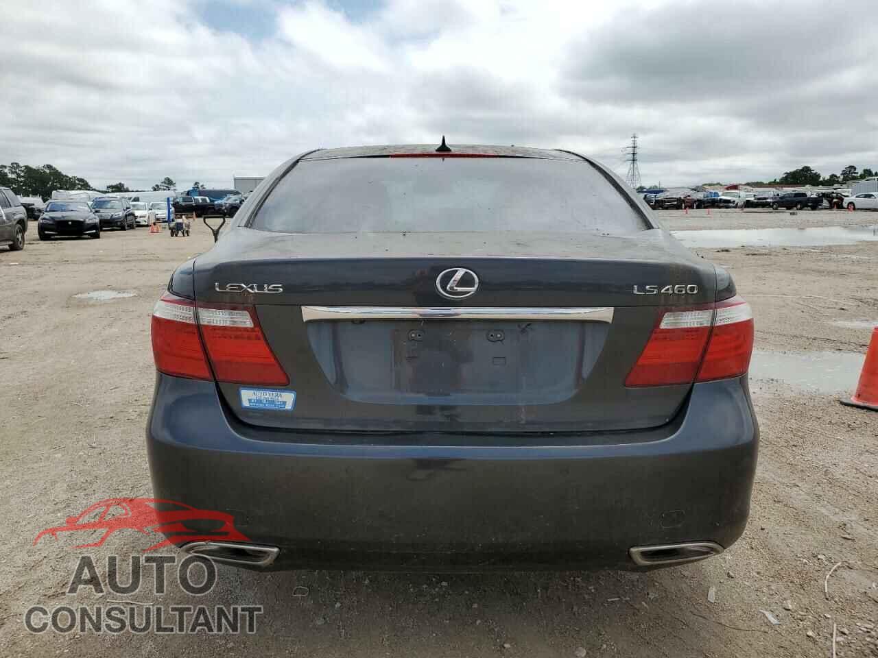 LEXUS LS460 2009 - JTHBL46F695084665