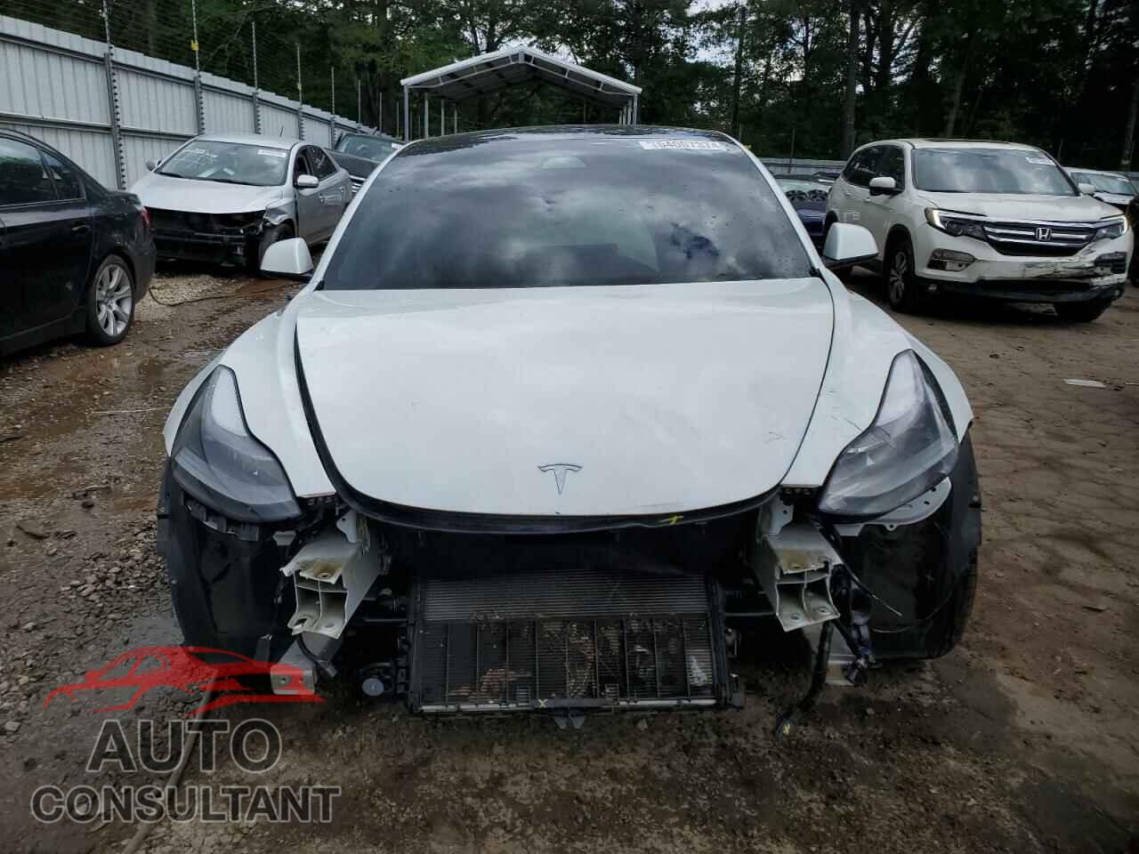 TESLA MODEL 3 2021 - 5YJ3E1EA0MF058476
