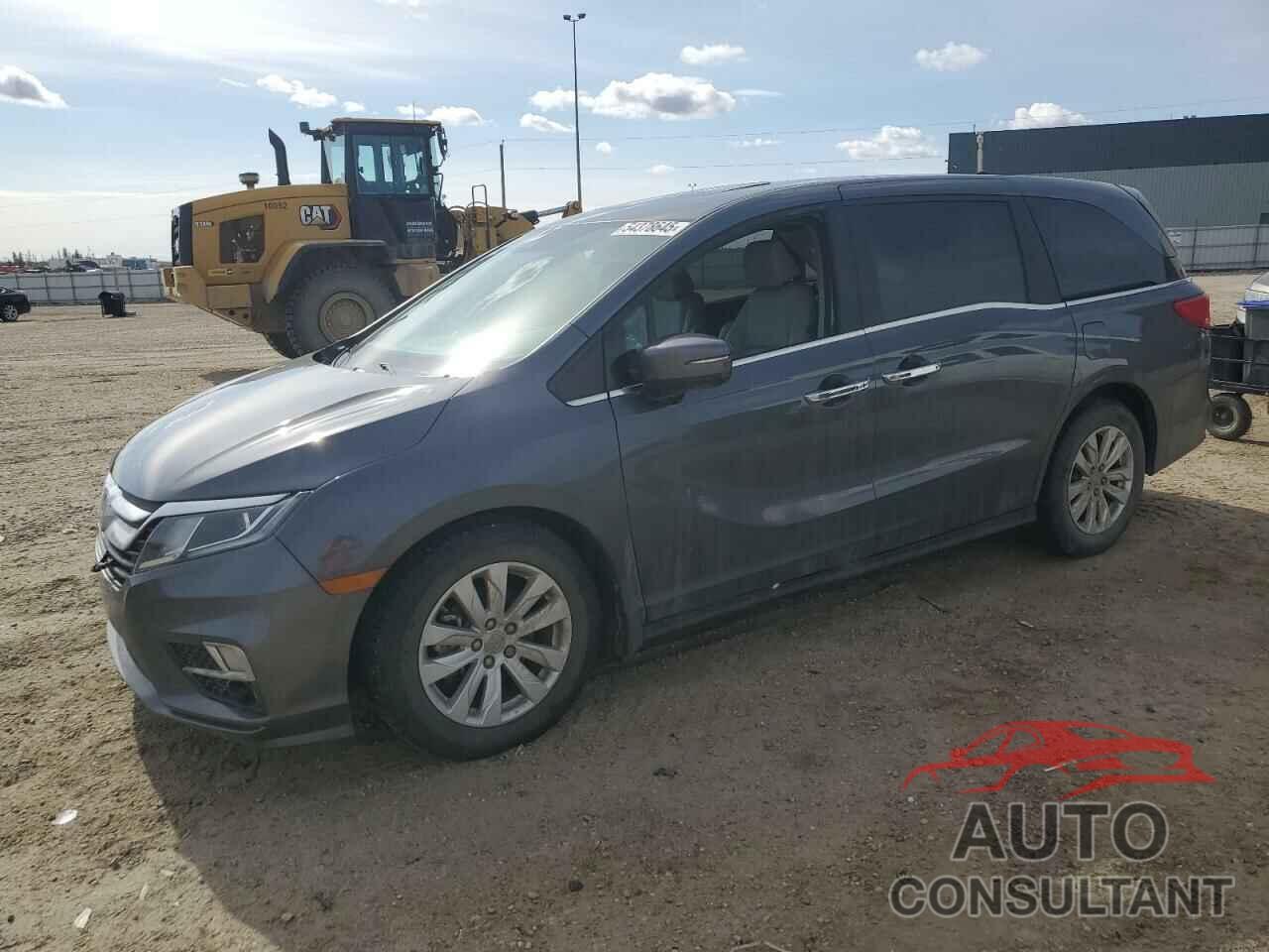 HONDA All Models 2019 - 5FNRL6H61KB511568