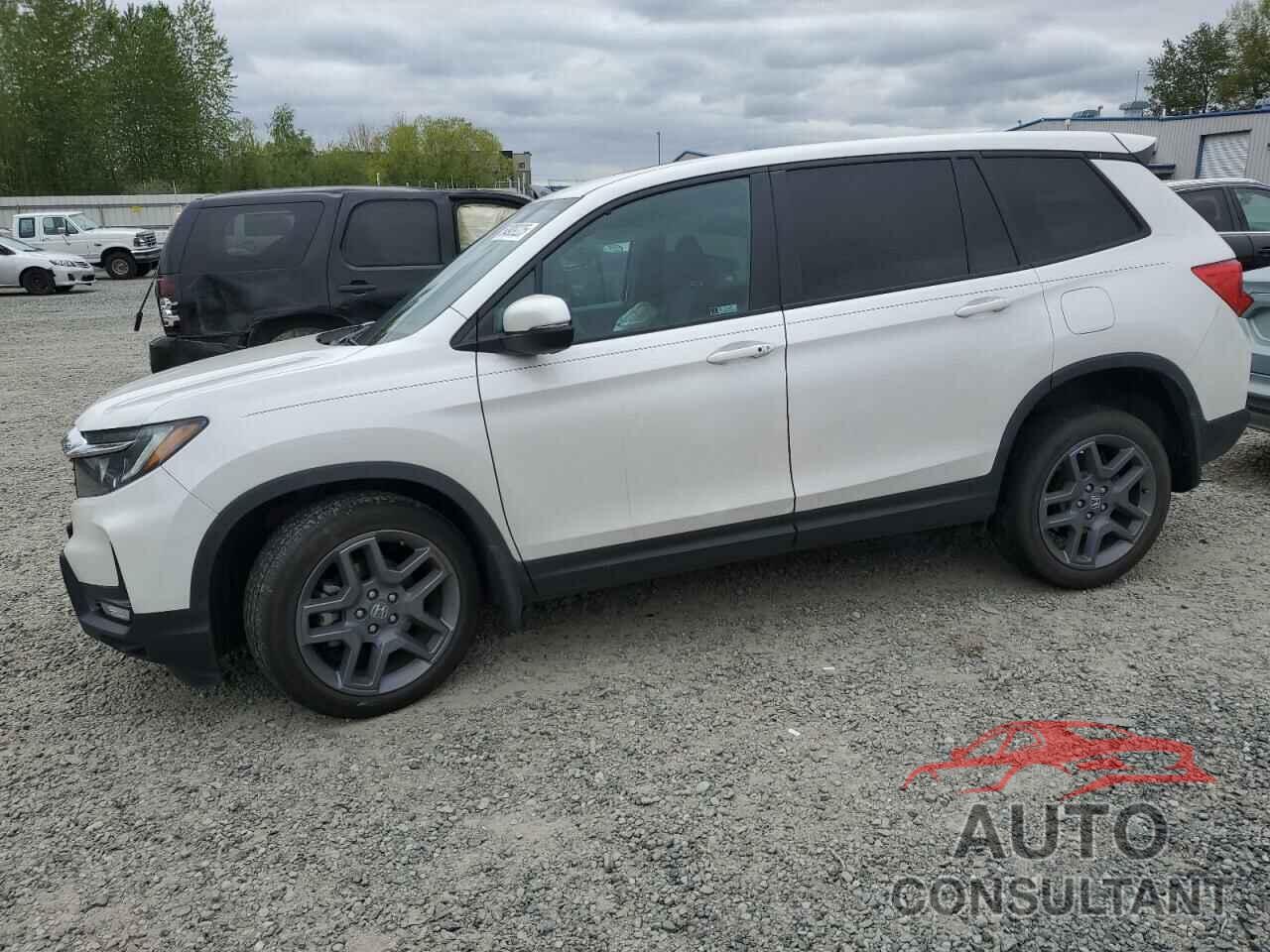 HONDA PASSPORT 2023 - 5FNYF8H55PB018294