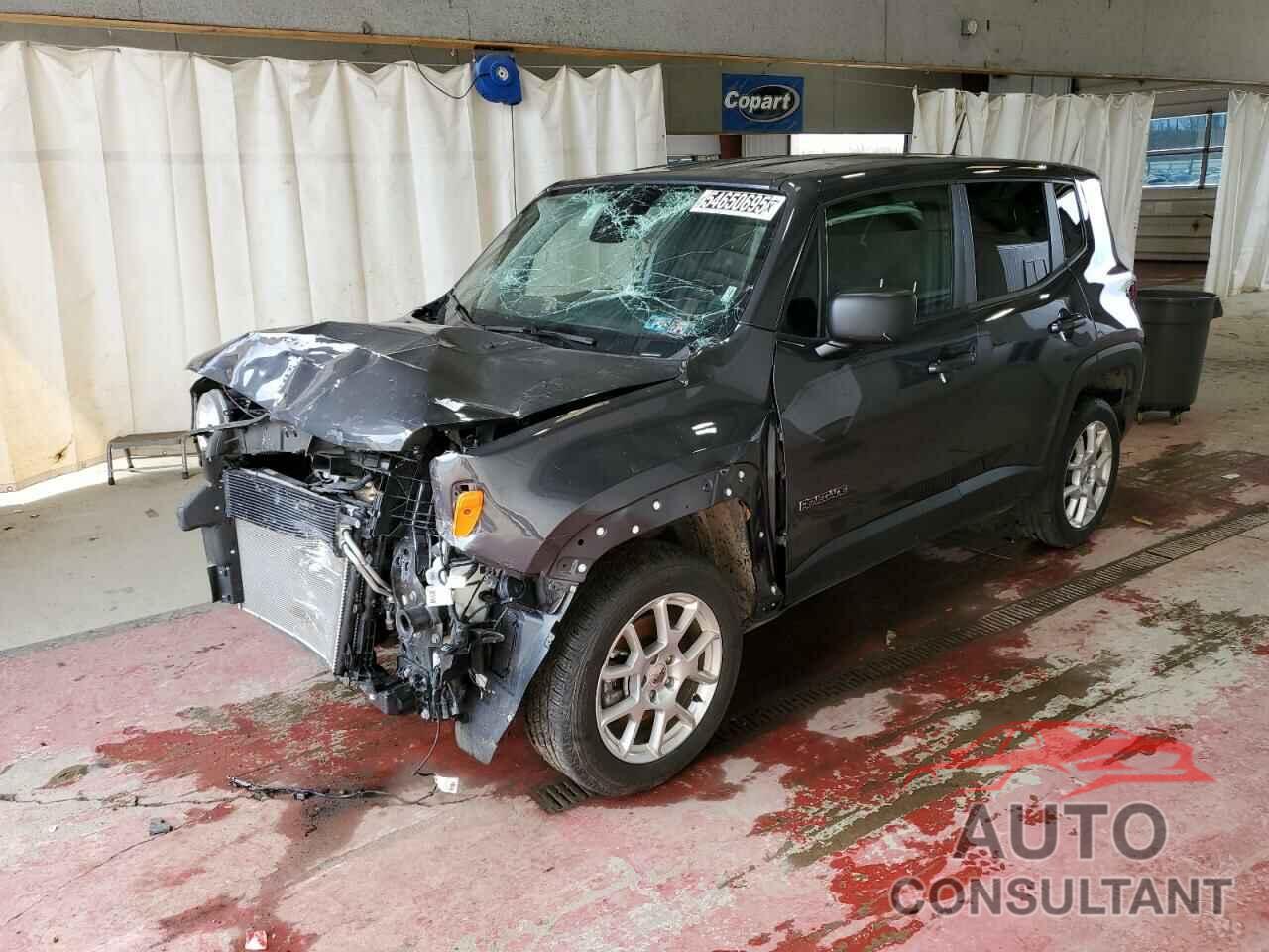 JEEP RENEGADE 2023 - ZACNJDB12PPP67754