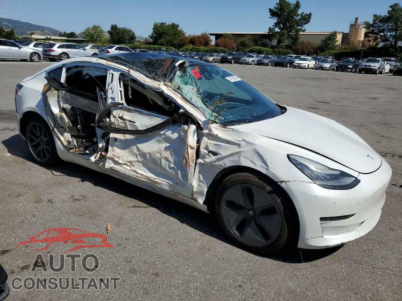 TESLA MODEL 3 2020 - 5YJ3E1EA5LF632021