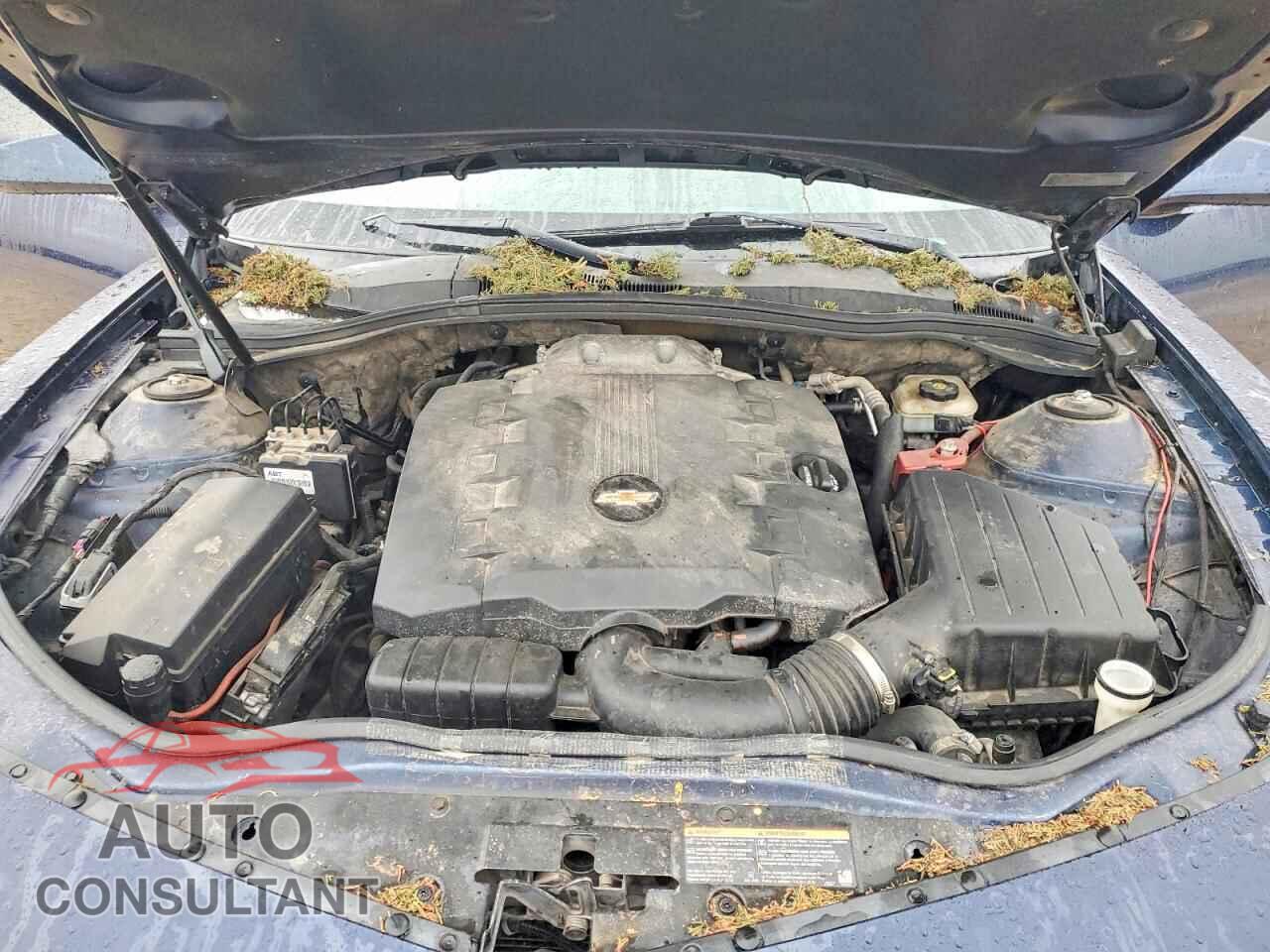 CHEVROLET CAMARO 2010 - 2G1FB1EV3A9155656