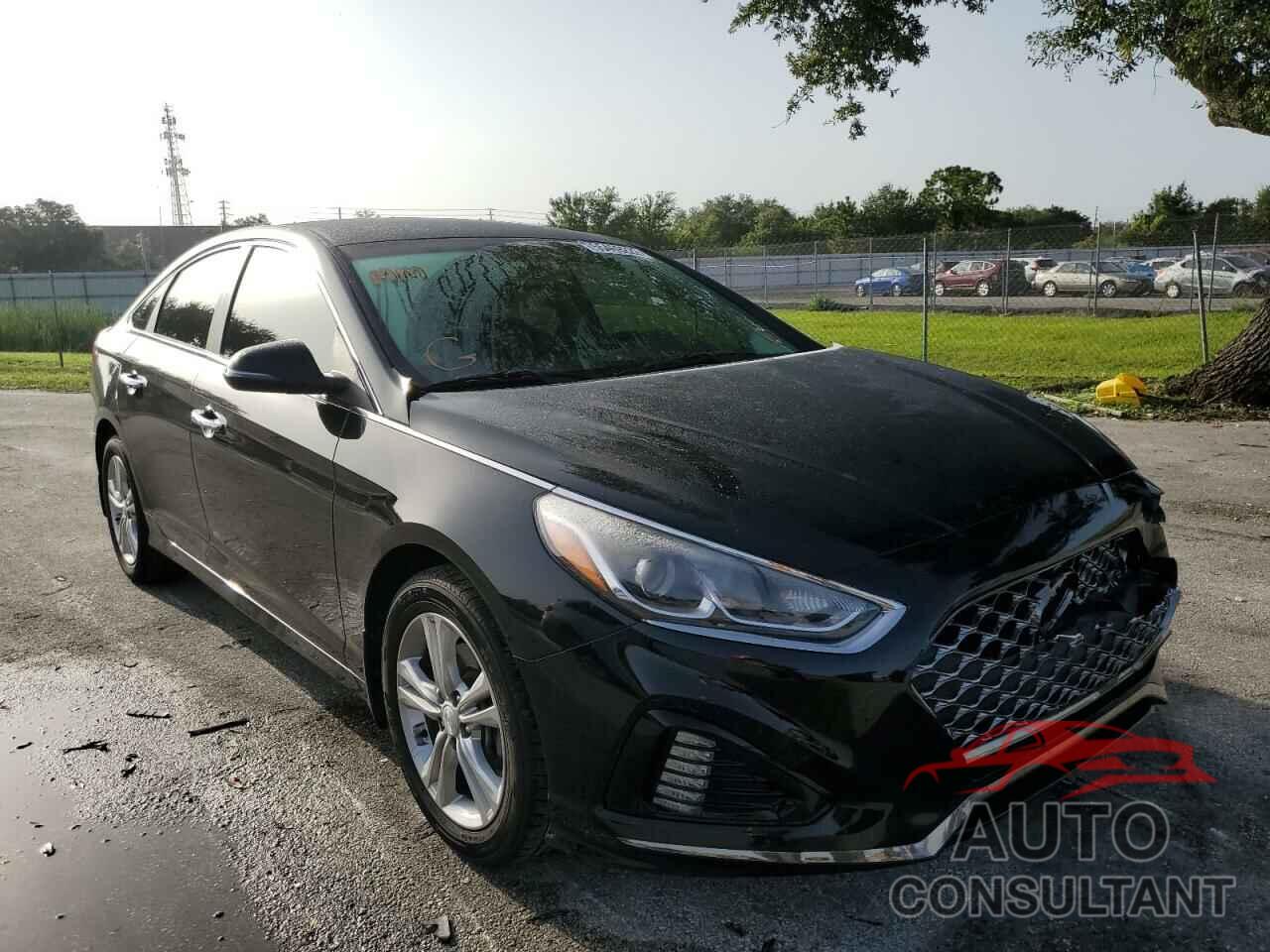 HYUNDAI SONATA 2019 - 5NPE34AF6KH790336