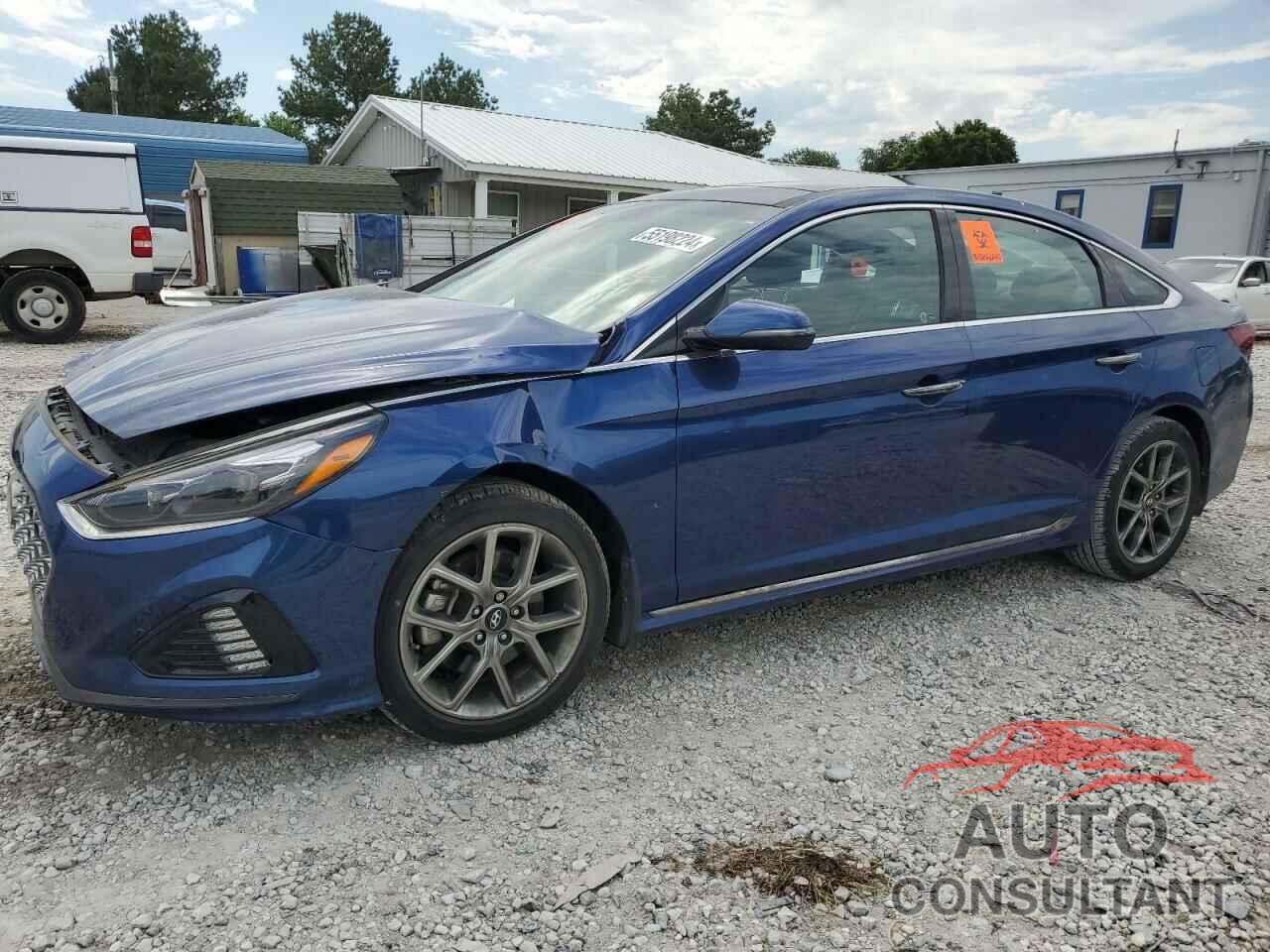 HYUNDAI SONATA 2019 - 5NPE34AB9KH765444